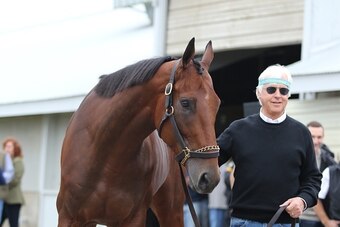 LEXINGTON, KY - NOVEMBER 1: American Pharoah and trainer Bob Baffert outside his barn the morning after winning the Breeders' Cup Classic at Keeneland Race Track, November 1, 2015 in Lexington, Kentucky (Photo by Horsephotos/Getty Images)