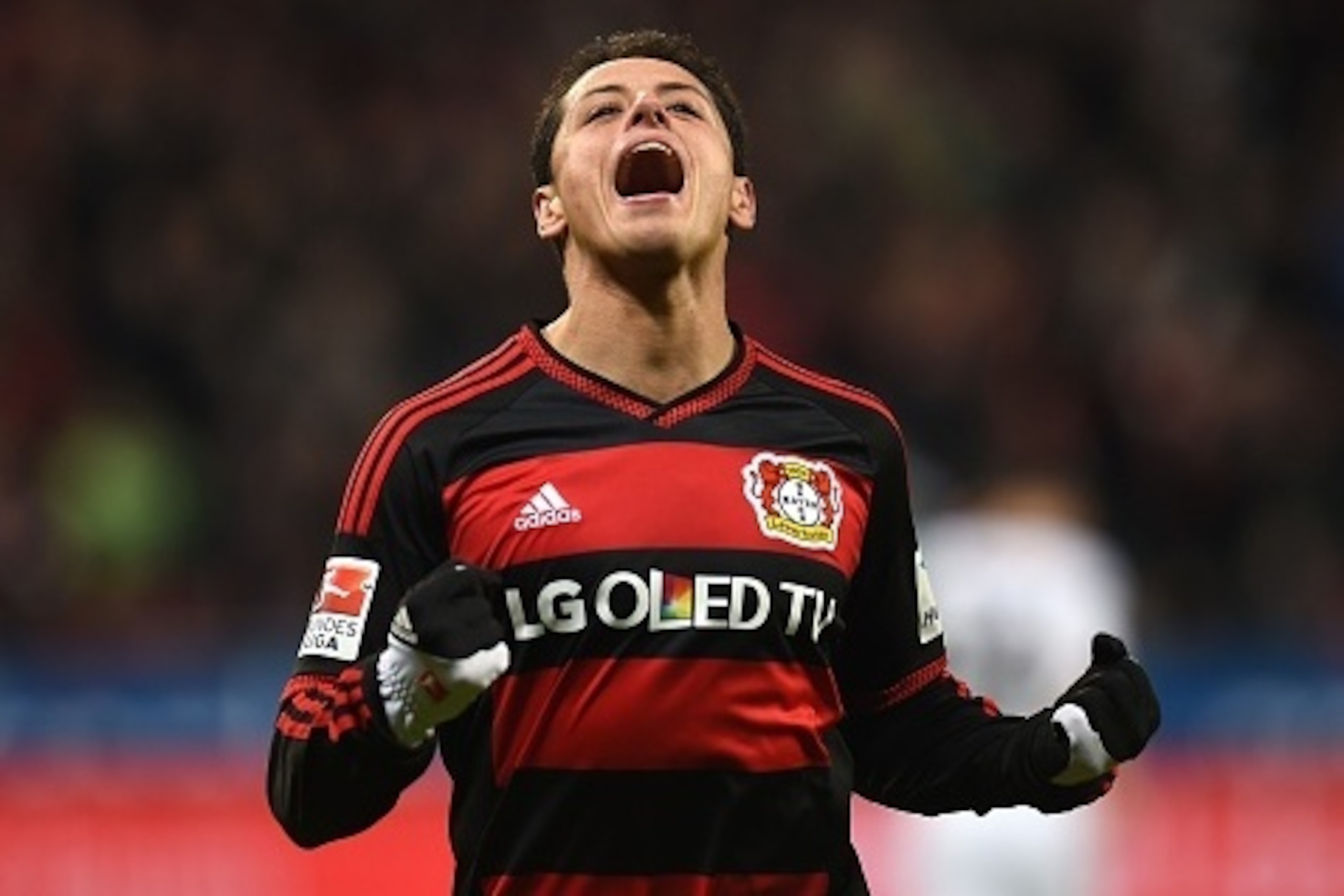 Leverkusen's Mexican striker Javier Hernandez celebrates during the German first division Bundesliga football match Bayer 04 Leverkusen vs Borussia Moenchengladbach in Leverkusen, western Germany, on December 12, 2015. 
AFP PHOTO / PATRIK STOLLARZ

RESTRI