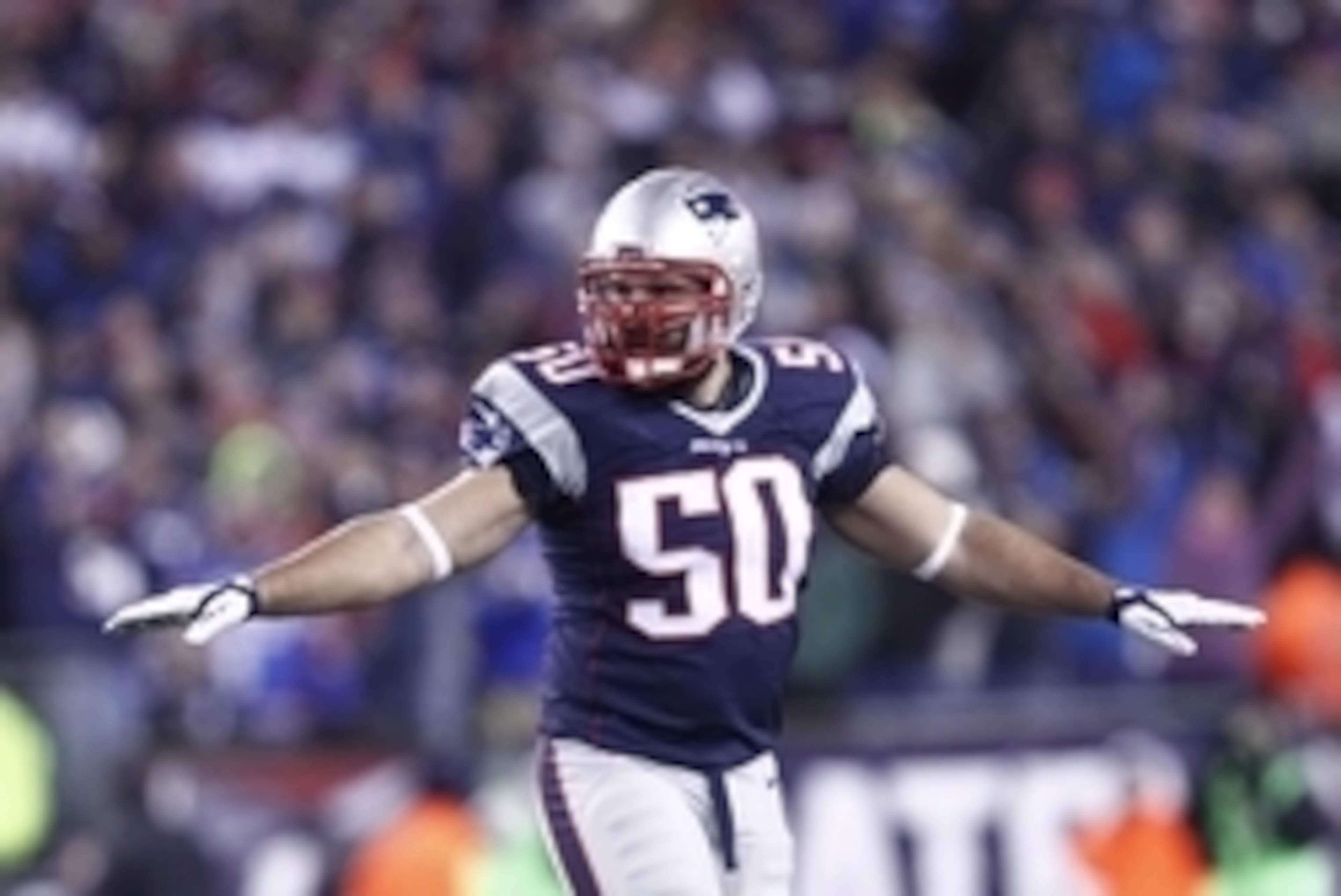 Nov 23, 2015; Foxborough, MA, USA; New England Patriots defensive end Rob Ninkovich (50) celebrates after a missed field goal by the Buffalo Bills during the first half at Gillette Stadium. Mandatory Credit: Mark L. Baer-USA TODAY Sports
