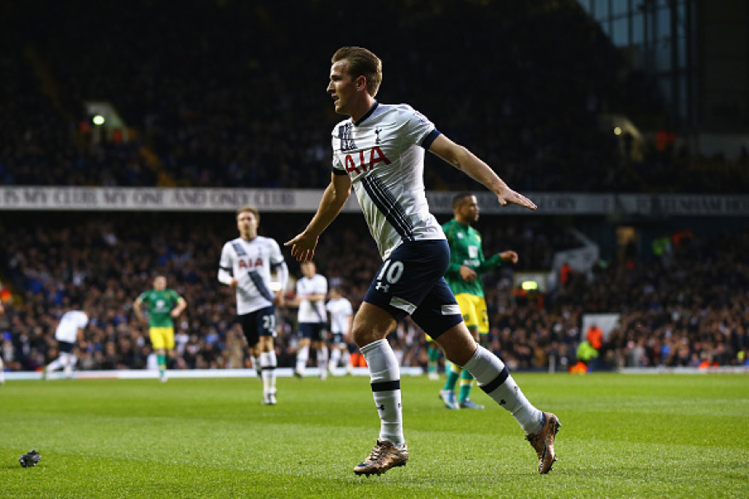 LONDON, ENGLAND - DECEMBER 26:  Harry Kane of Tottenham Hotspur celebrates scoring his teams second goal during the Barclays Premier League match between Tottenham Hotspur and Norwich City at White Hart Lane on December 26, 2015 in London, England.  (Phot