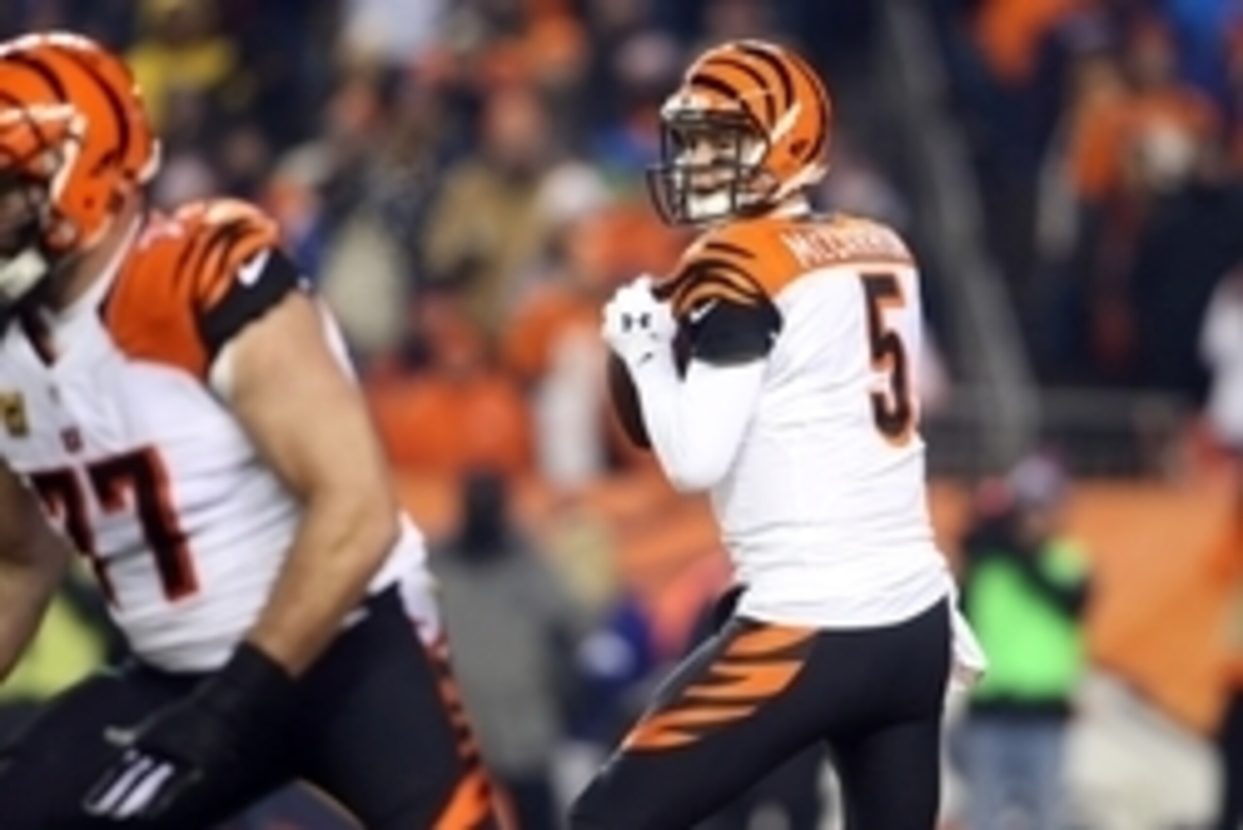 Dec 28, 2015; Denver, CO, USA; Cincinnati Bengals quarterback AJ McCarron (5) looks to pass the ball during the first half against the Denver Broncos at Sports Authority Field at Mile High. Mandatory Credit: Chris Humphreys-USA TODAY Sports