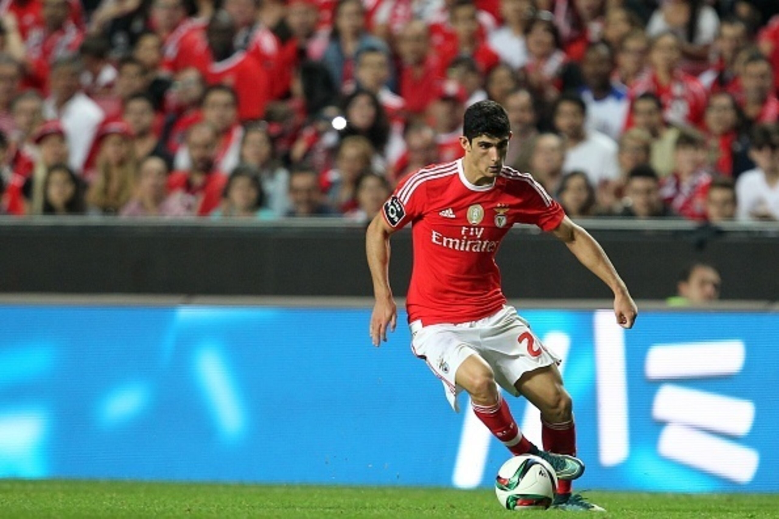 LISBON, PORTUGAL - NOVEMBER 8: Benfica's forward Goncalo Guedes during the match between SL Benfica and Boavista FC at Estadio da Luz on November 8, 2015 in Lisbon, Portugal.  (Photo by Carlos Rodrigues/Getty Images)