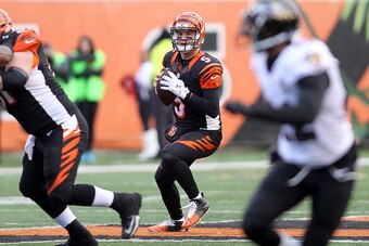 CINCINNATI, OH - JANUARY 3:  AJ McCarron #5 of the Cincinnati Bengals drops back to throw a pass during the game against the Baltimore Ravens at Paul Brown Stadium on January 3, 2016 in Cincinnati, Ohio. (Photo by John Grieshop/Getty Images)
