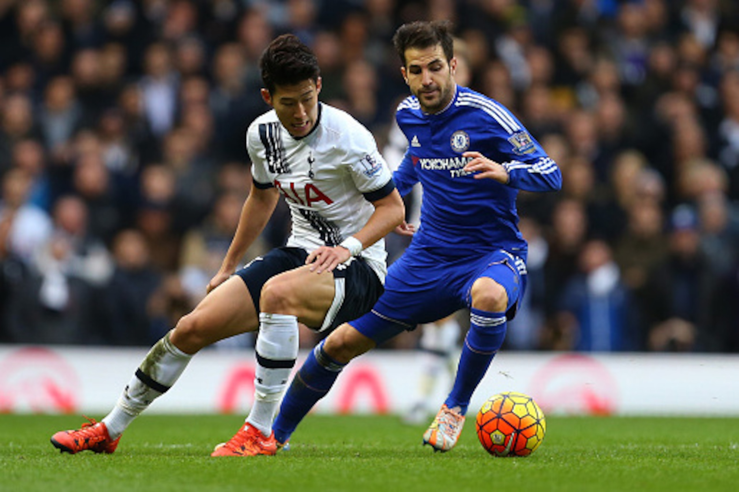 LONDON, ENGLAND - NOVEMBER 29:  Son Heung-Min of Tottenham Hotspur and Cesc Fabregas of Chelsea during the Barclays Premier League match between Tottenham Hotspur and Chelsea at White Hart Lane on November 29, 2015 in London, England.  (Photo by Catherine