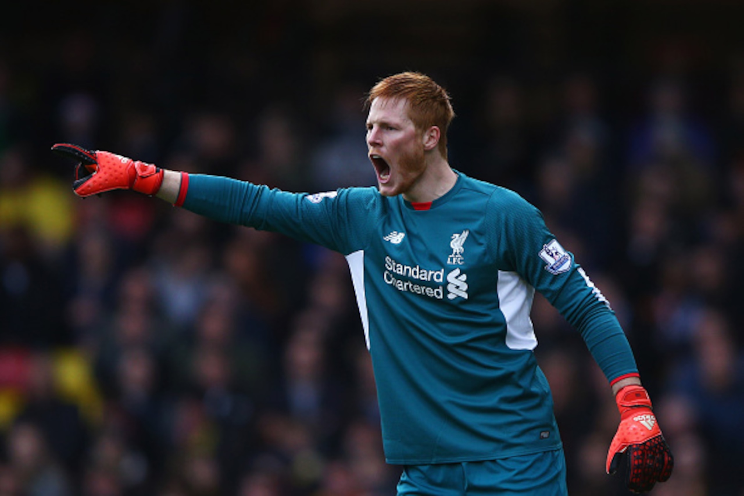 WATFORD, ENGLAND - DECEMBER 20:  Adam Bogdan of Liverpool shouts during the Barclays Premier League match between Watford and Liverpool at Vicarage Road on December 20, 2015 in Watford, England.  (Photo by Ian Walton/Getty Images)