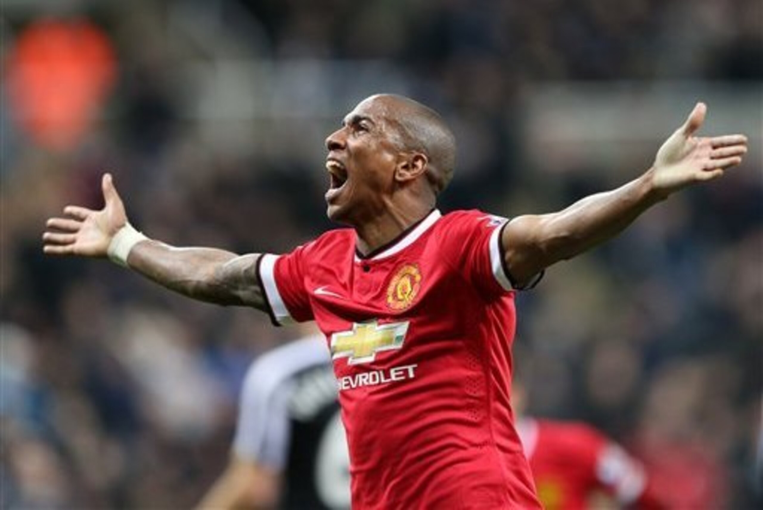 Ashley Young celebrates his late winner at St James' Park last season.