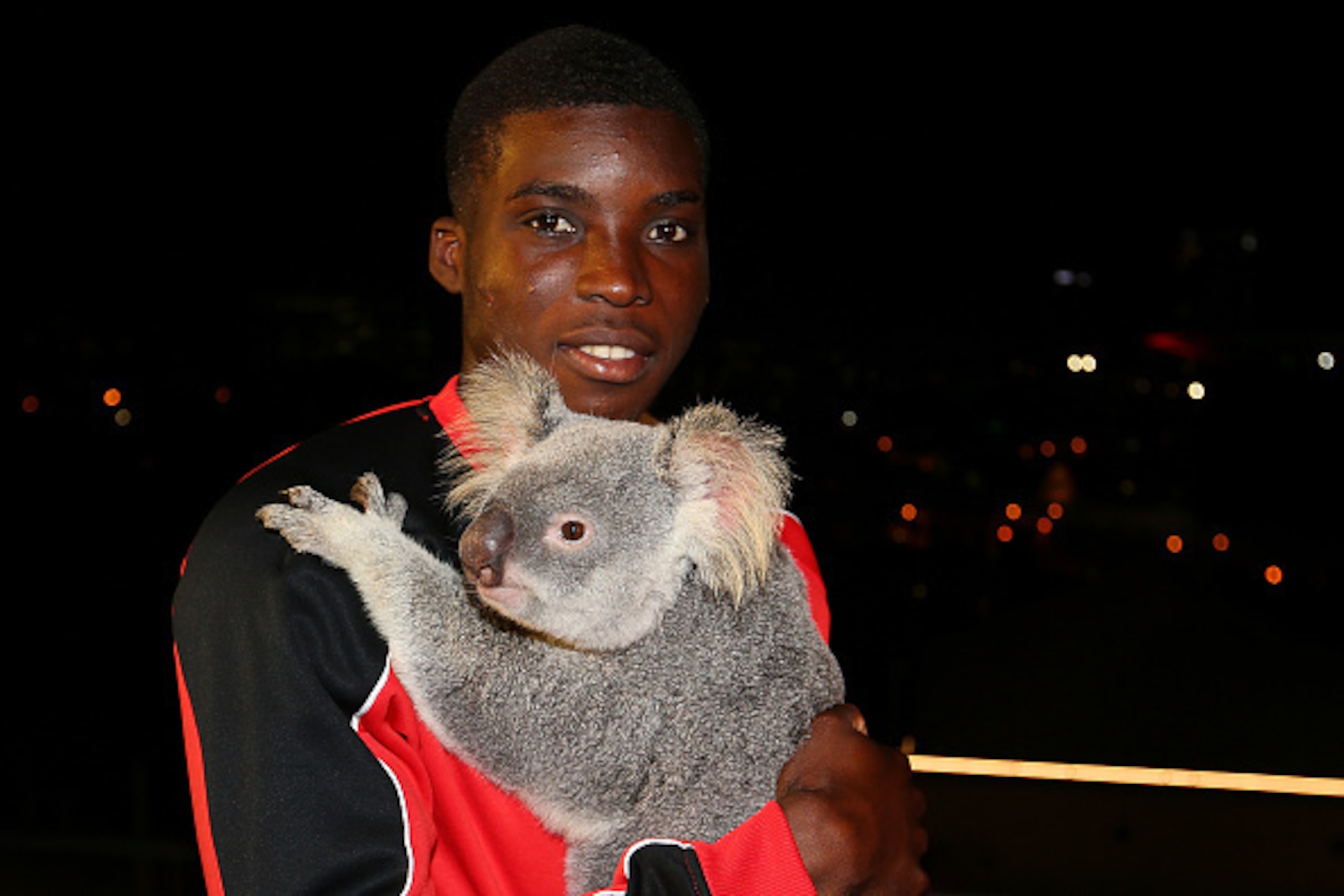BRISBANE, AUSTRALIA - JULY 16:  Liverpool FC player Sheyi Ojo cuddles Australia Zoo koala Mackenzie at Gambaro Hotel on July 16, 2015 in Brisbane, Australia. Liverpool FC are in Queensland to play the Brisbane Roar at Suncorp Stadium on the first leg of t