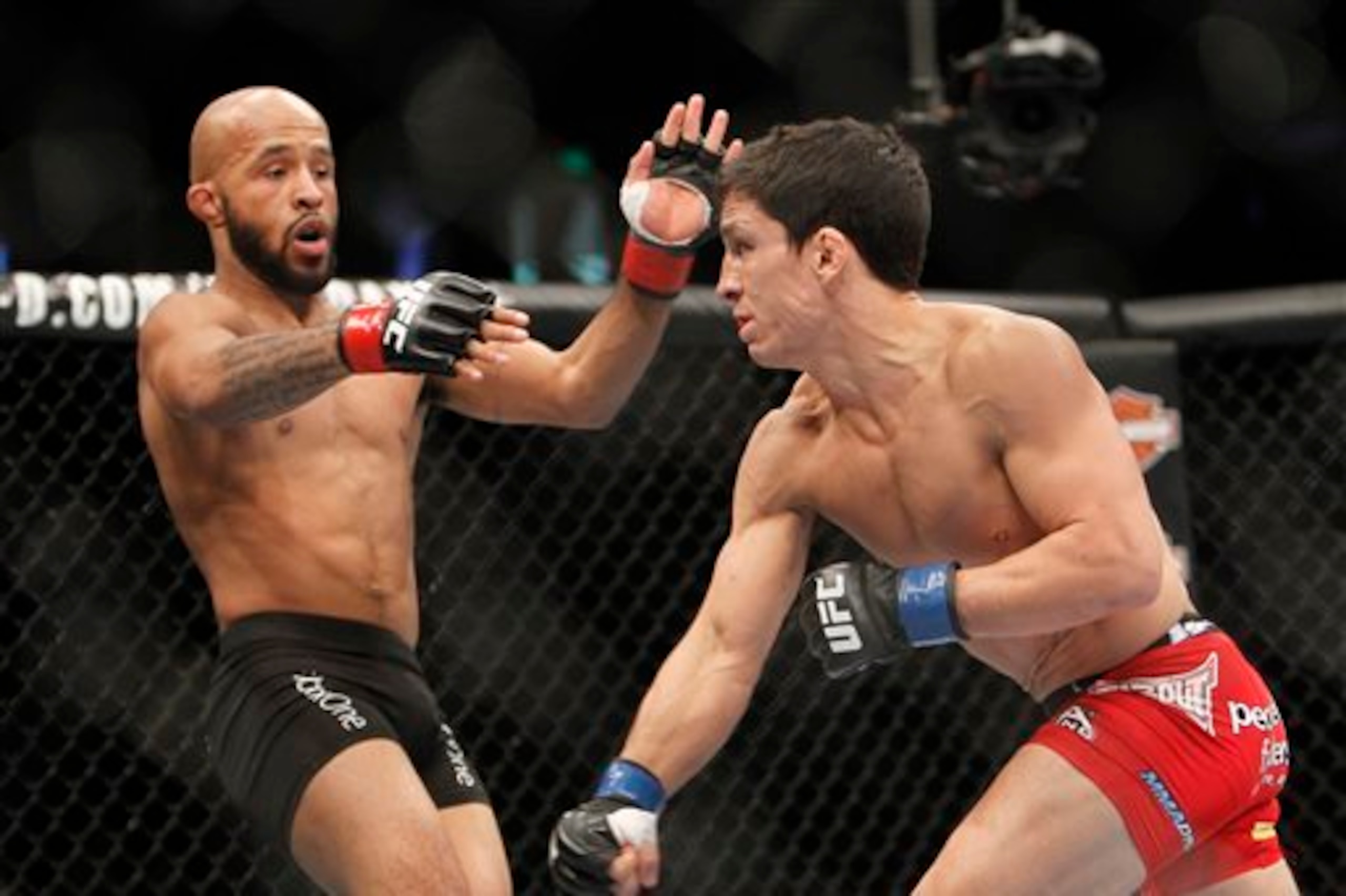 Johnson owns two wins over Joseph Benavidez