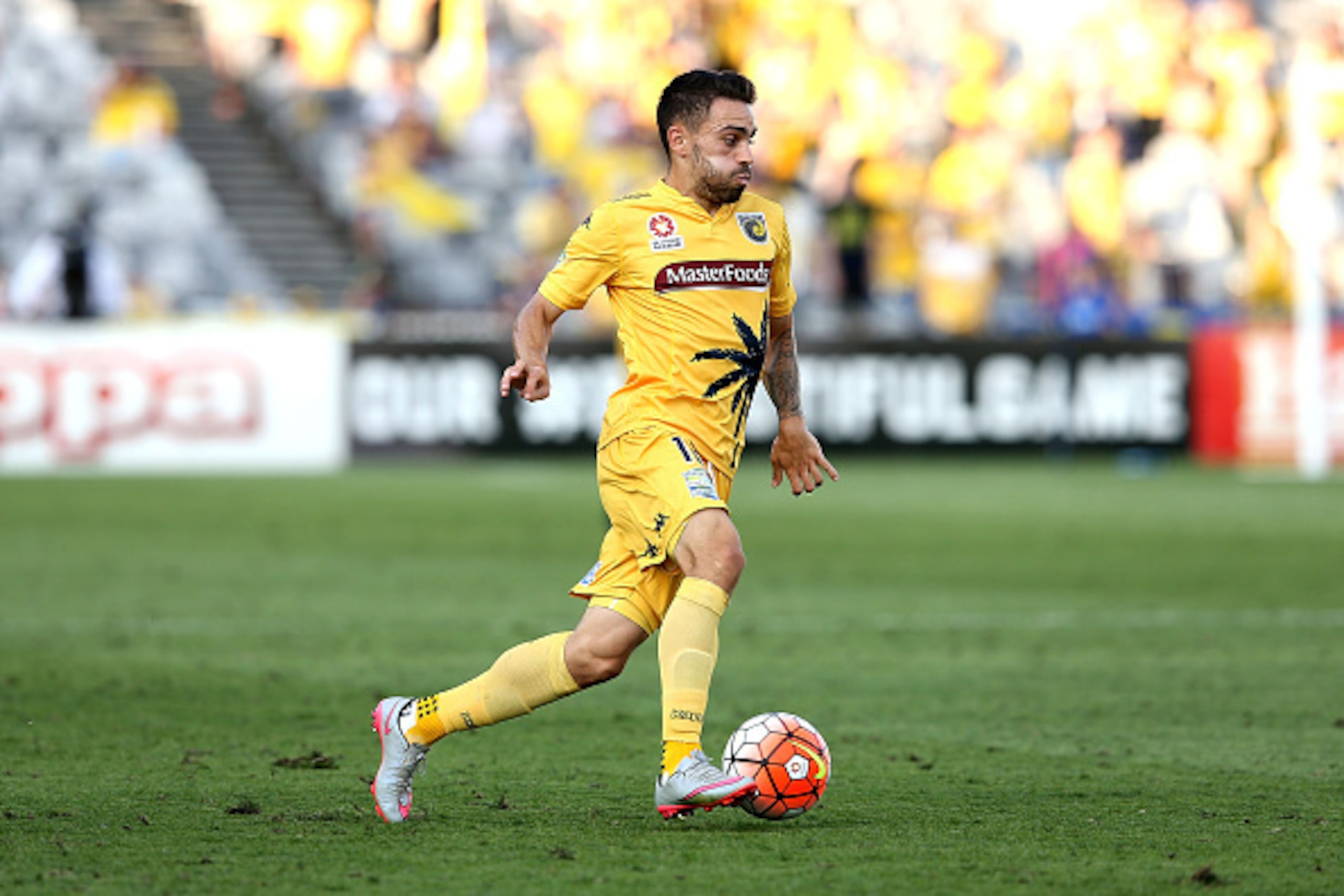 GOSFORD, AUSTRALIA - DECEMBER 20: Anthony Caceres of the Mariners in action during the round 11 A-League match between the Central Coast Mariners and the Brisbane Roar at Central Coast Stadium on December 20, 2015 in Gosford, Australia.  (Photo by Ashley 