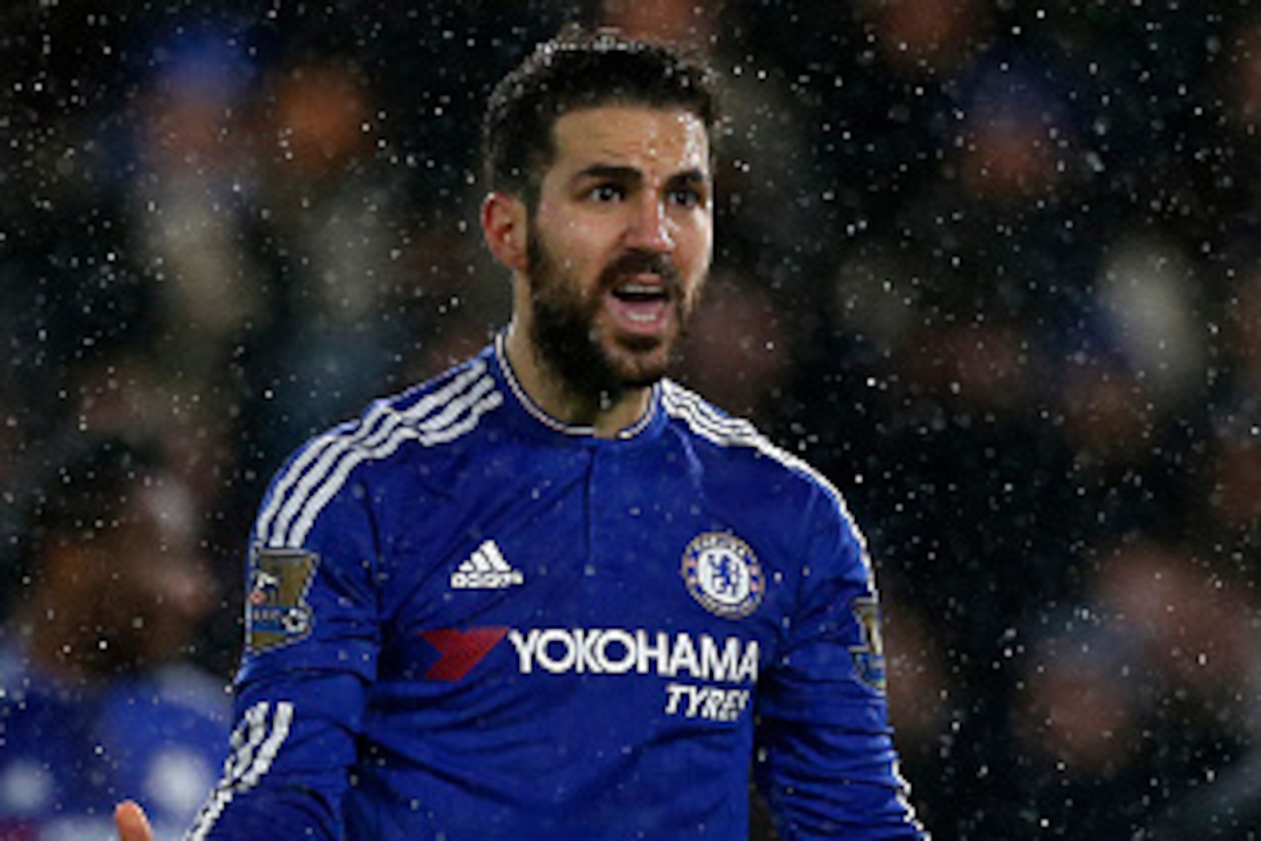 Chelsea's Spanish midfielder Cesc Fabregas gestures during the English Premier League football match between Chelsea and West Bromwich Albion at Stamford Bridge in London on January 13, 2016. AFP PHOTO / IAN KINGTON

RESTRICTED TO EDITORIAL USE. NO USE WI