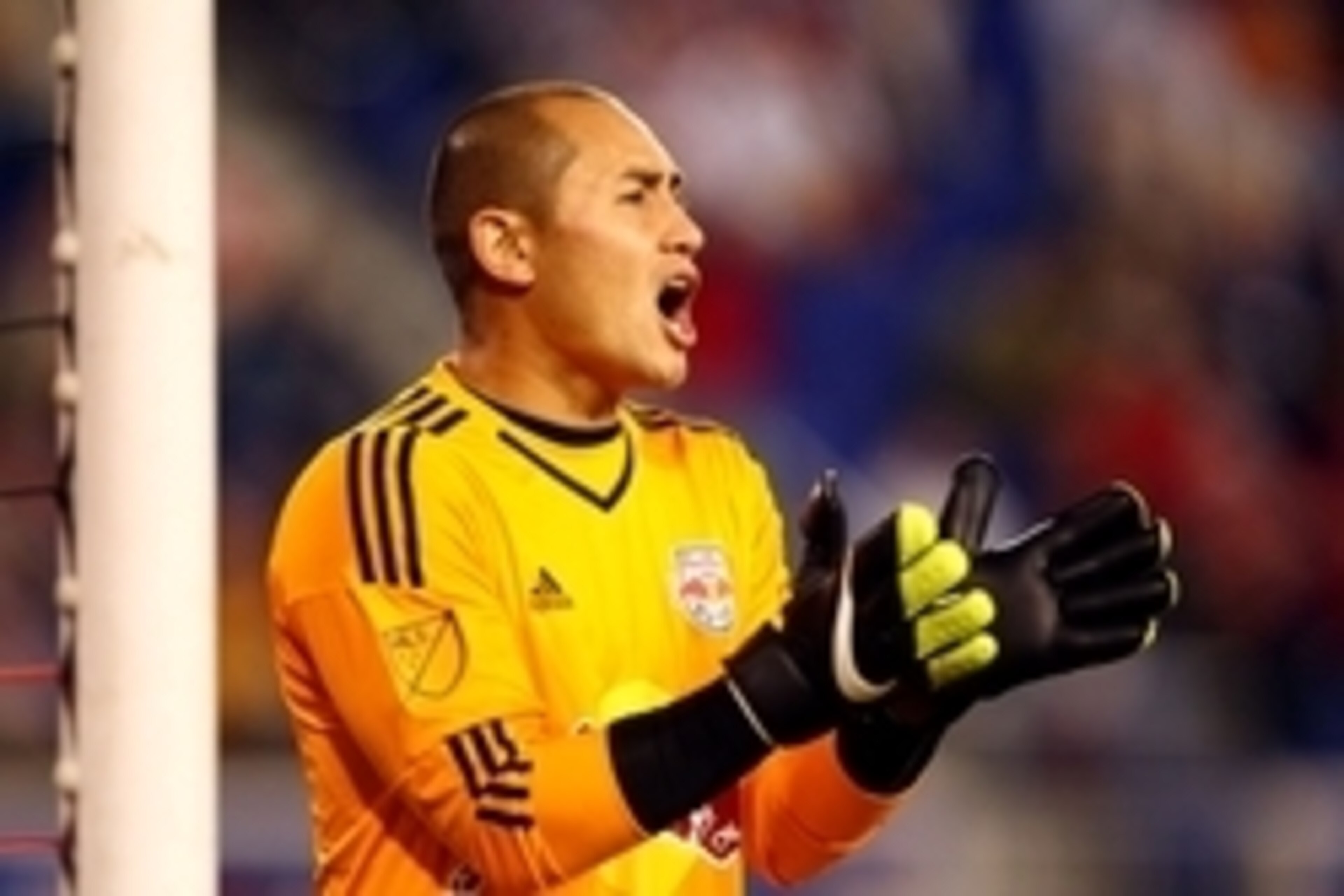 Nov 8, 2015; Harrison, NJ, USA; New York Red Bulls goalkeeper Luis Robles (31) during the second half of the MLS Playoffs against DC United at Red Bull Arena. Mandatory Credit: Danny Wild-USA TODAY Sports