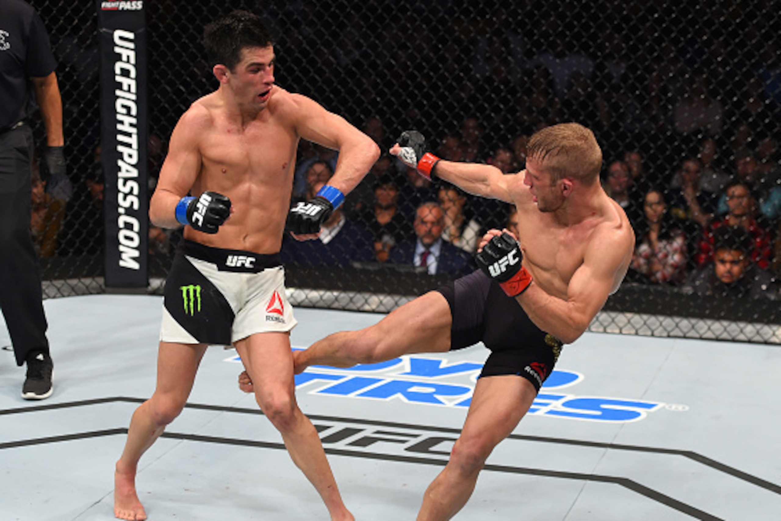 BOSTON, MA - JANUARY 17: (R-L) TJ Dillashaw kicks the leg of Dominick Cruz in their UFC bantamweight championship bout during the UFC Fight Night event inside TD Garden on January 17, 2016 in Boston, Massachusetts. (Photo by Jeff Bottari/Zuffa LLC/Zuffa BOSTON, MA - JANUARY 17: (R-L) TJ Dillashaw kicks the leg of Dominick Cruz in their UFC bantamweight championship bout during the UFC Fight Night event inside TD Garden on January 17, 2016 in Boston, Massachusetts. (Photo by Jeff Bottari/Zuffa LLC/Zuffa