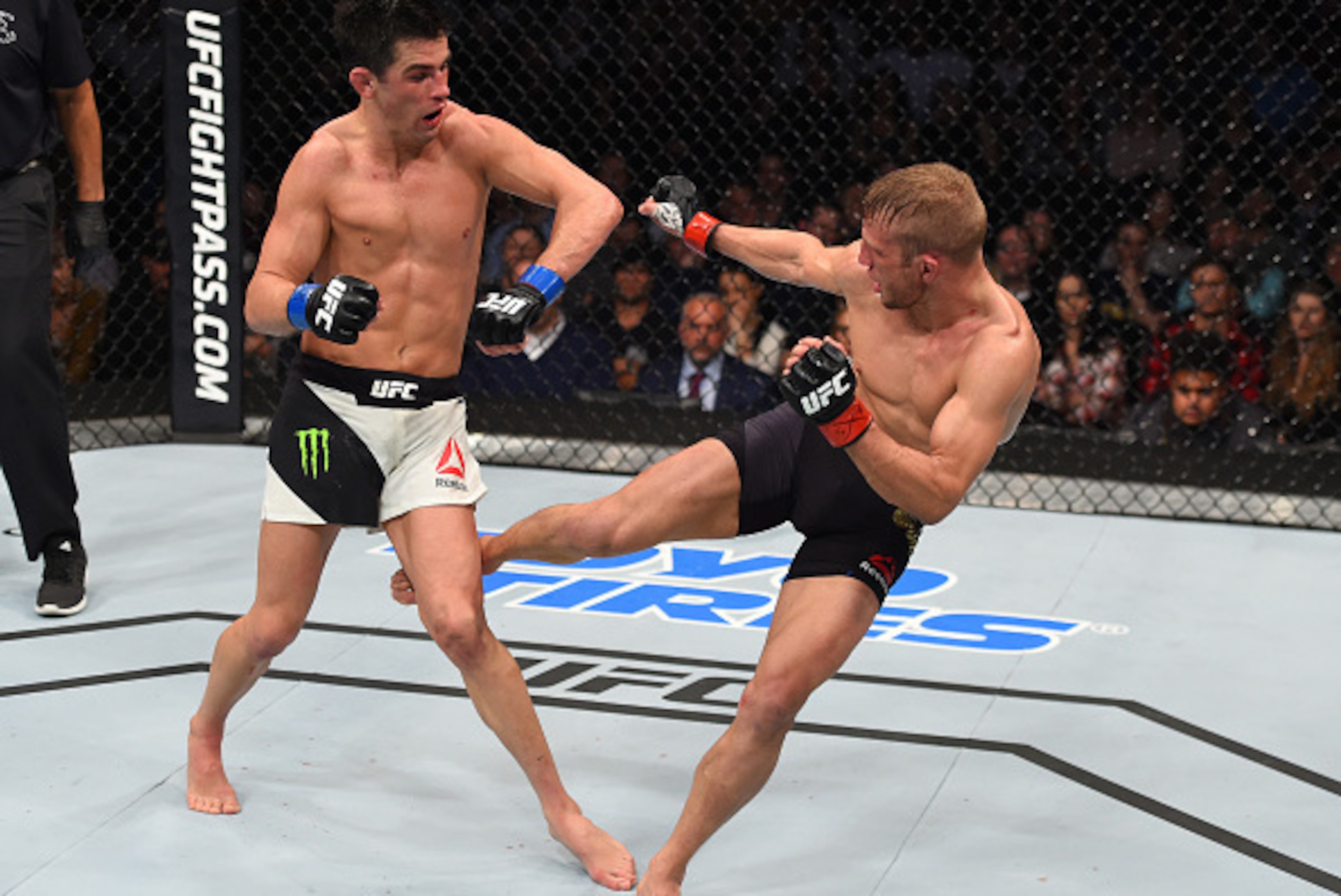 BOSTON, MA - JANUARY 17:  (R-L) TJ Dillashaw kicks the leg of Dominick Cruz in their UFC bantamweight championship bout during the UFC Fight Night event inside TD Garden on January 17, 2016 in Boston, Massachusetts. (Photo by Jeff Bottari/Zuffa LLC/Zuffa 