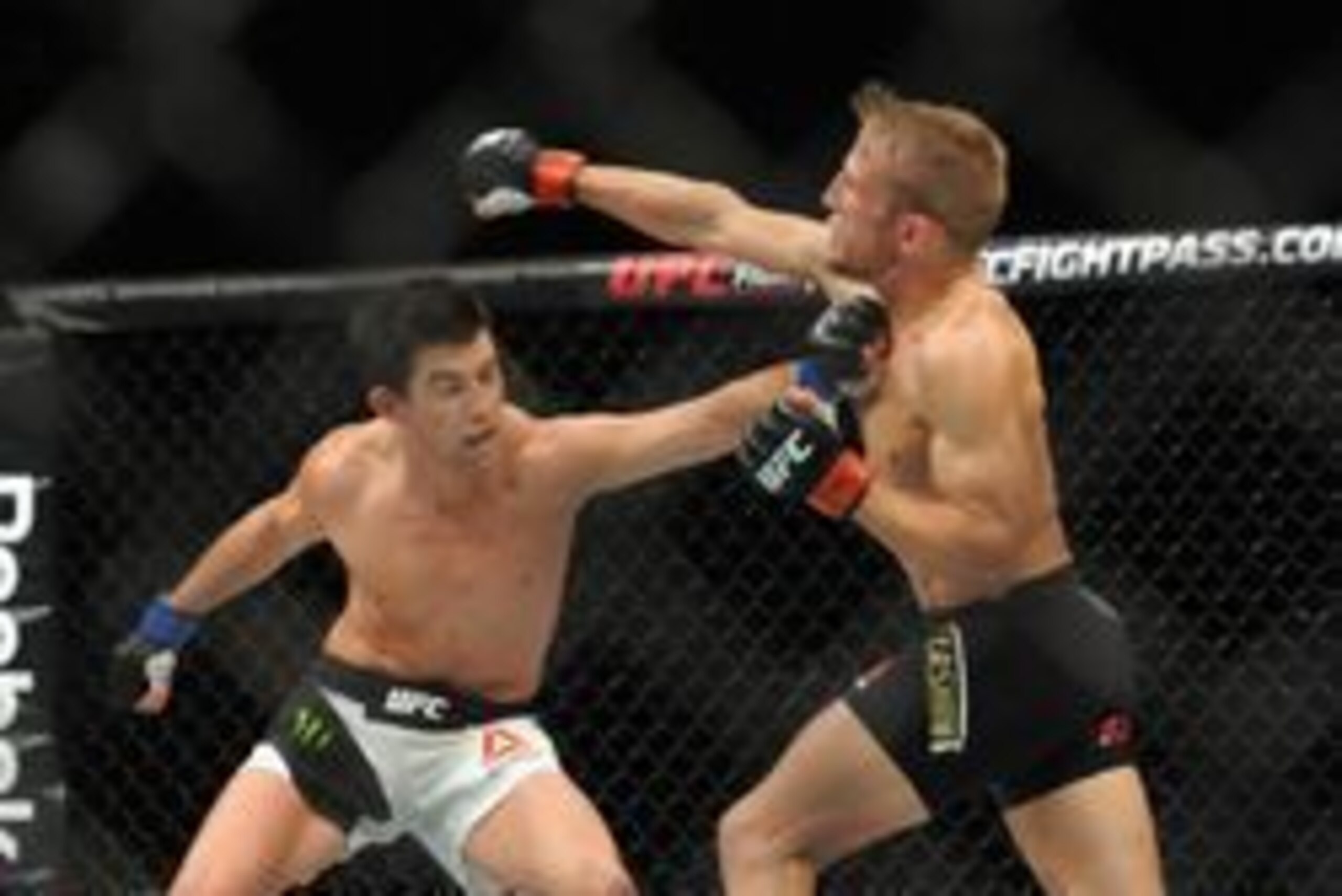 Jan 17, 2016; Boston, MA, USA; Dominick Cruz (blue) punches TJ Dillashaw (red) during a world bantamweight championship bout at UFC Fight Night at the TD Garden. Mandatory Credit: Bob DeChiara-USA TODAY Sports