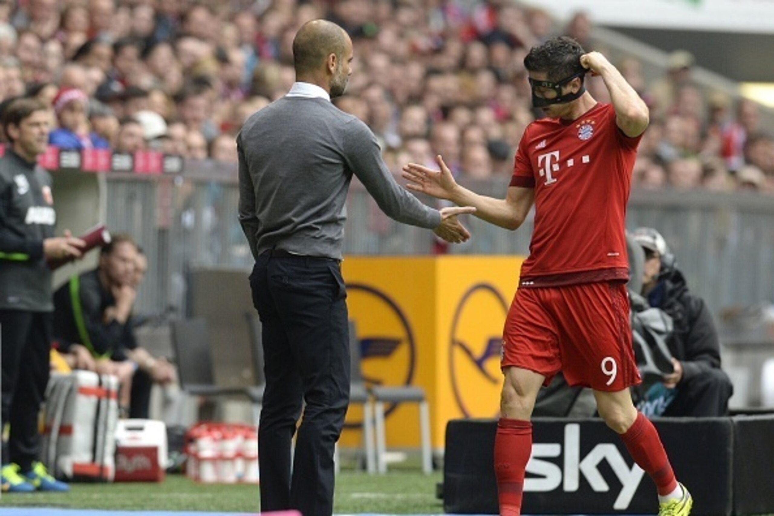Bayern Munich's Spanish head coach Pep Guardiola (L) thanks Bayern Munich's Polish striker Robert Lewandowski (R) as Lewandowski leaves the pitch during the German first division Bundesliga football match between FC Bayern Munich and FC Augsburg in Munich