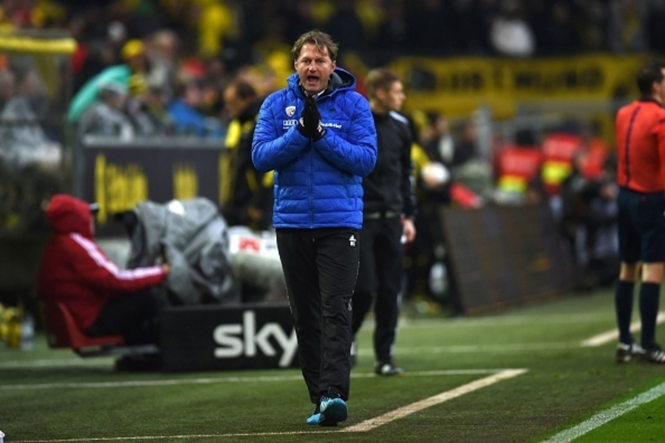 Ingolstadt's Austrian head coach Ralph Hasenhuettl reacts during the German first division Bundesliga football match of Borussia Dortmund vs FC Ingolstadt 04 in Dortmund, western Germany, on January 30, 2016.  / AFP / PATRIK STOLLARZ / RESTRICTIONS: DURIN