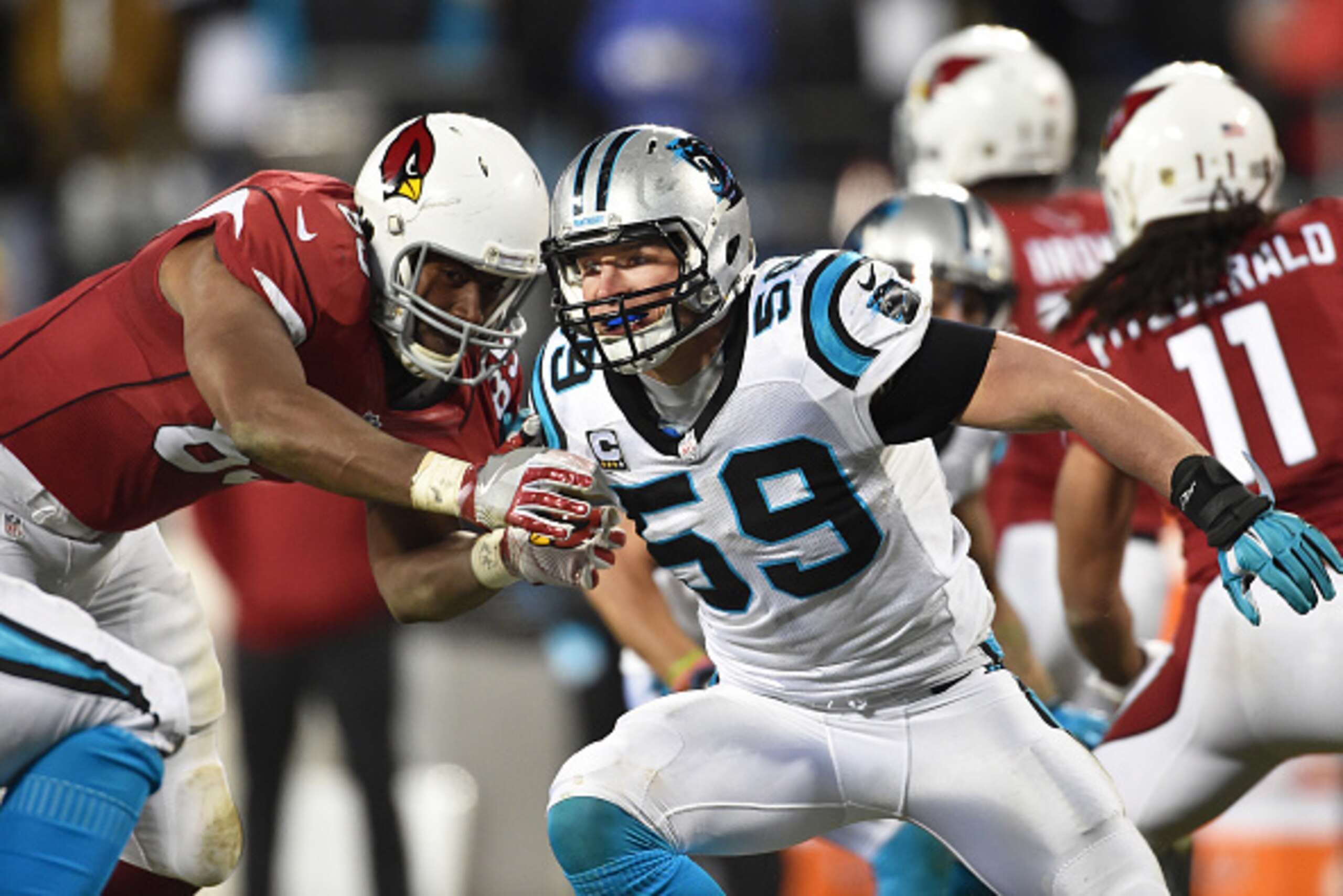 CHARLOTTE, NC - JANUARY 24:  Linebacker Luke Kuechly #59 of the Carolina Panthers in action during the NFC Championship Game against the Arizona Cardinals at Bank of America Stadium on January 24, 2016 in Charlotte, North Carolina.  (Photo by Ronald C. Mo