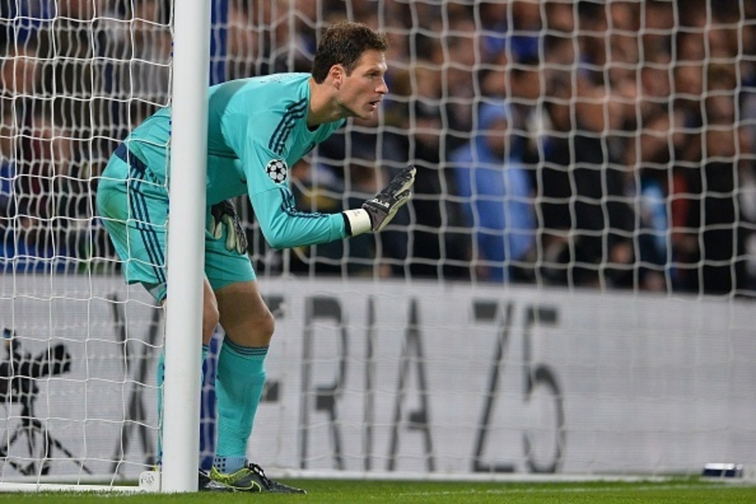 Chelsea's Bosnian goalkeeper Asmir Begovic gestures during a UEFA Chamions league group stage football match between Chelsea and Dynamo Kiev at Stamford Bridge stadium in west London on November 4, 2015.  AFP PHOTO / GLYN KIRK        (Photo credit should 