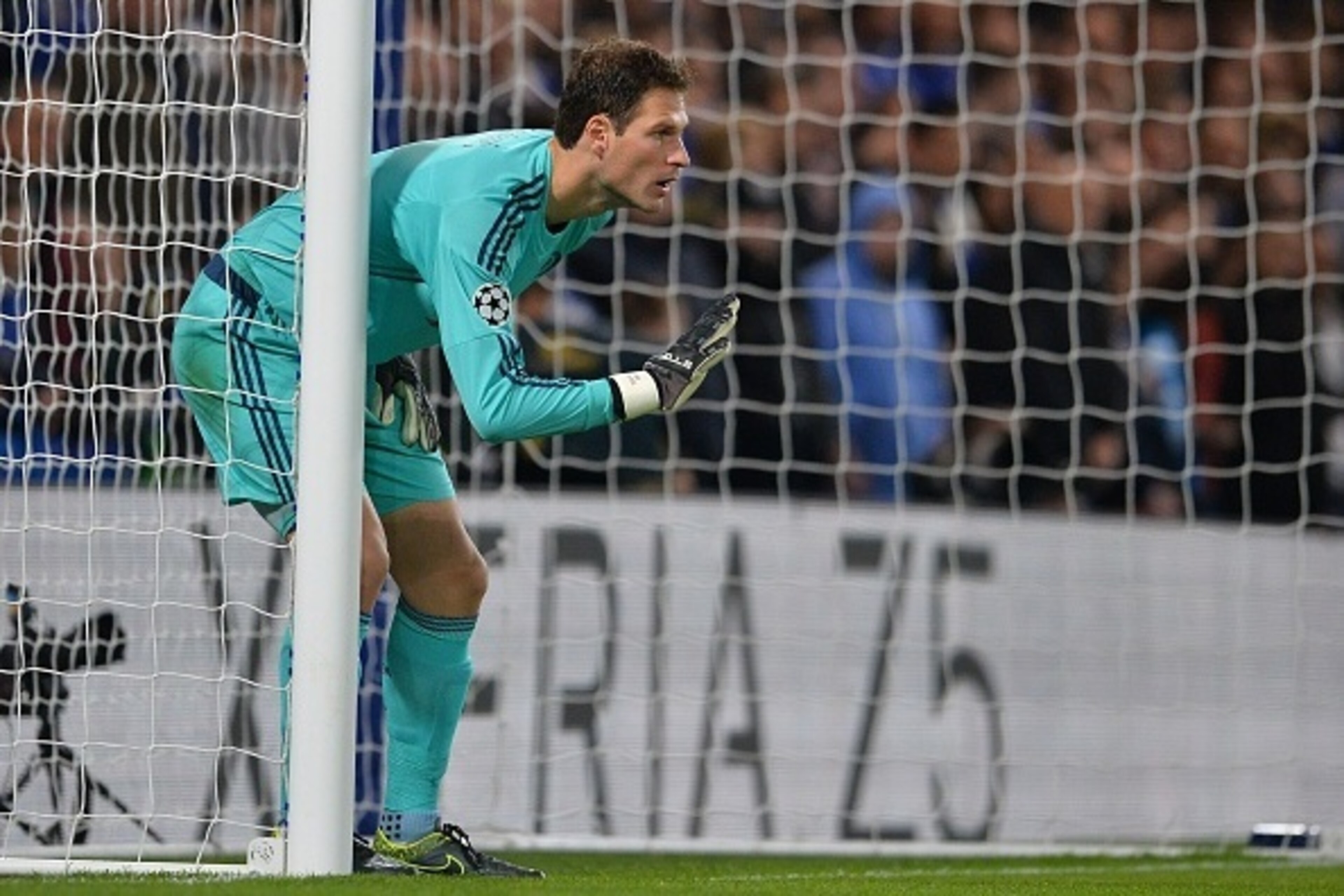 Chelsea's Bosnian goalkeeper Asmir Begovic gestures during a UEFA Chamions league group stage football match between Chelsea and Dynamo Kiev at Stamford Bridge stadium in west London on November 4, 2015.  AFP PHOTO / GLYN KIRK        (Photo credit should 