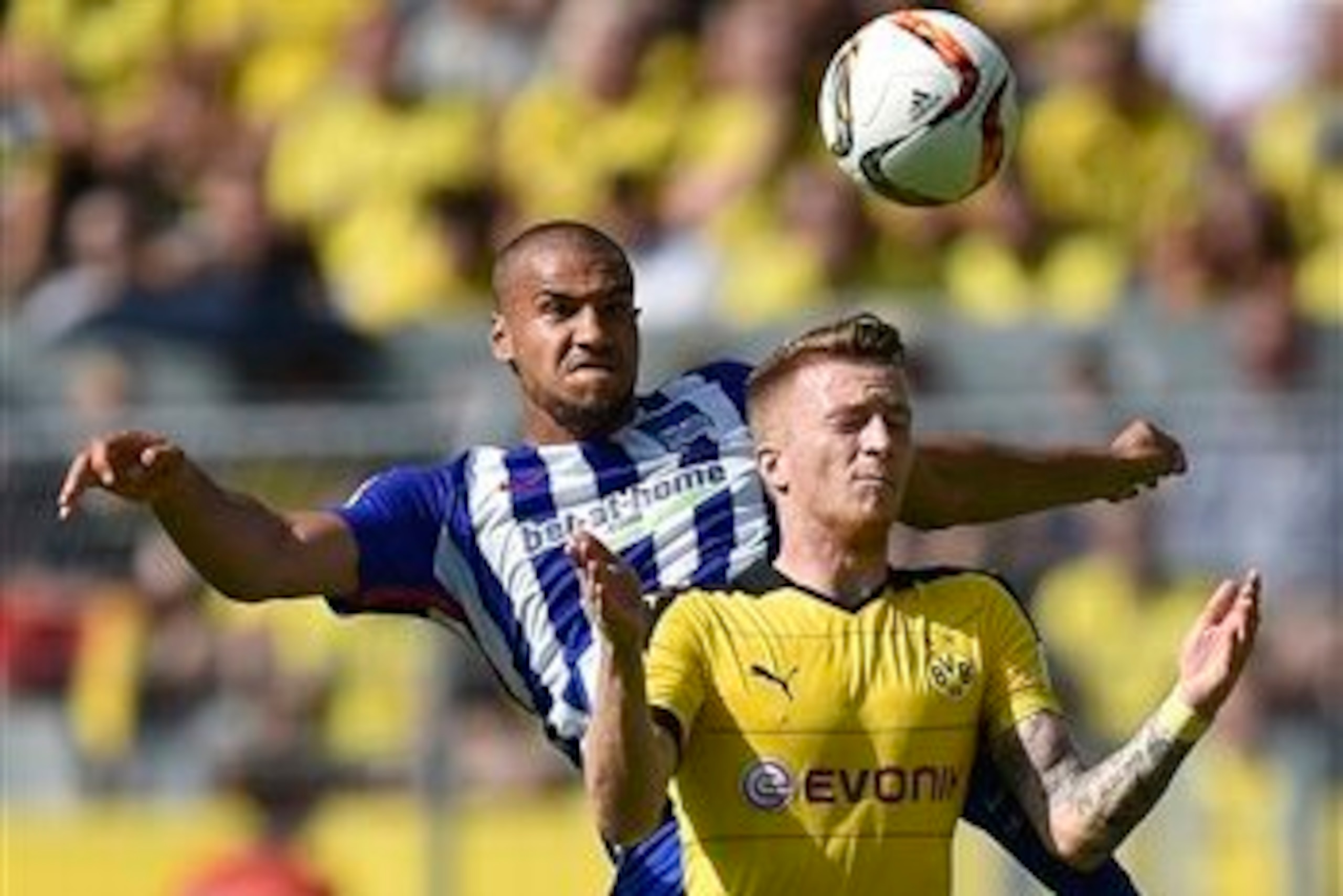 Marco Reus' return to the starting lineup will boost BVB's chances against Anthony Brooks' Hertha.