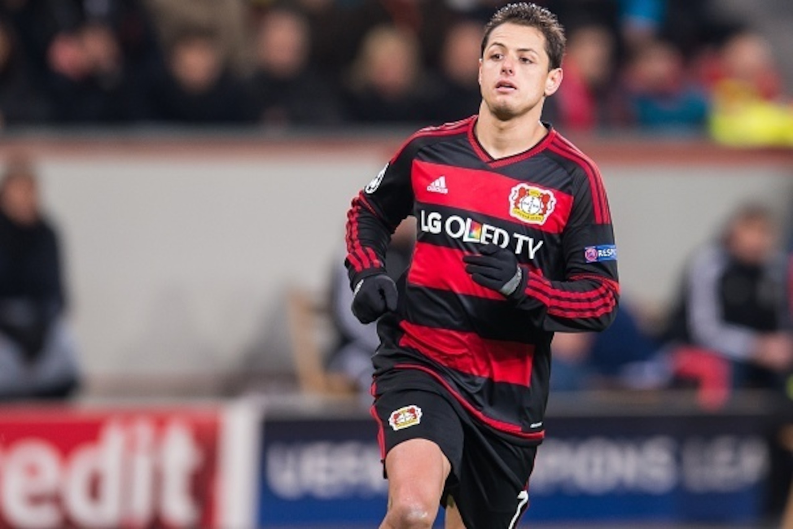 Javier Hernandez ( Chicharito ) of Bayer 04 Leverkusen during the UEFA Champions League match between Bayer 04 Leverkusen and FC Barcelona on December 9, 2015 at the BayArena in Leverkusen, Germany.(Photo by VI Images via Getty Images)