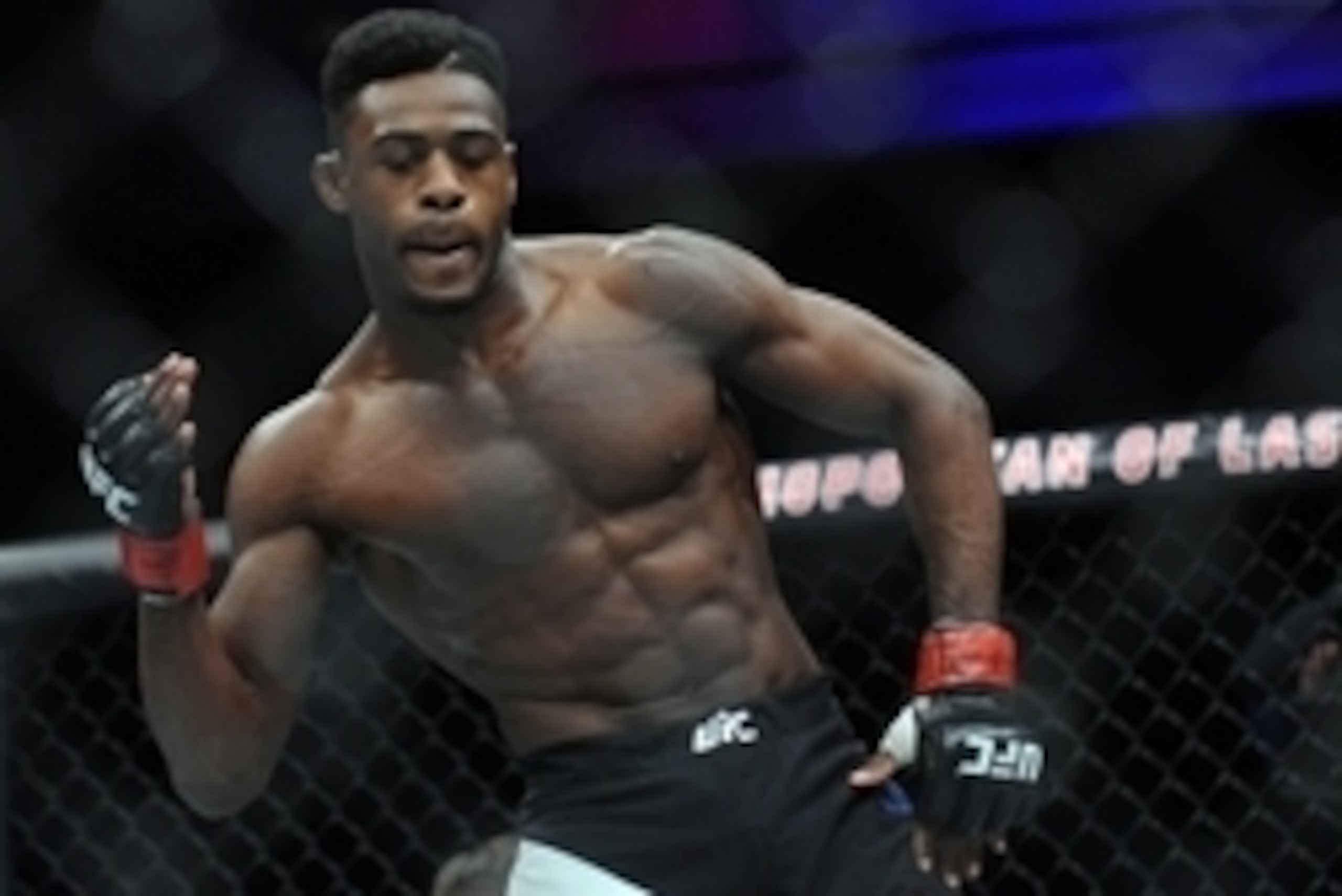 December 10, 2015; Las Vegas, NV, USA; Aljamain Sterling celebrates his victory by chokehold submission against Johnny Eduardo during UFC Fight Night at The Chelsea at the Cosmopolitan. Mandatory Credit: Gary A. Vasquez-USA TODAY Sports