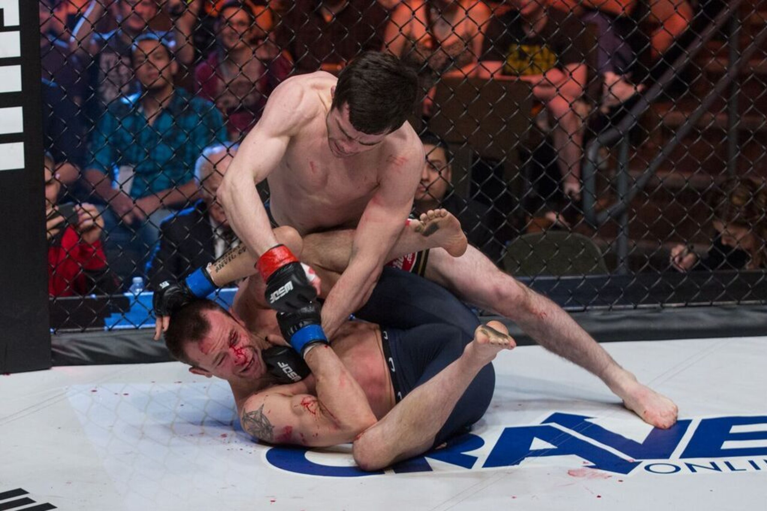 Valiev (top) punches Ed West at WSOF 19 in 2015.