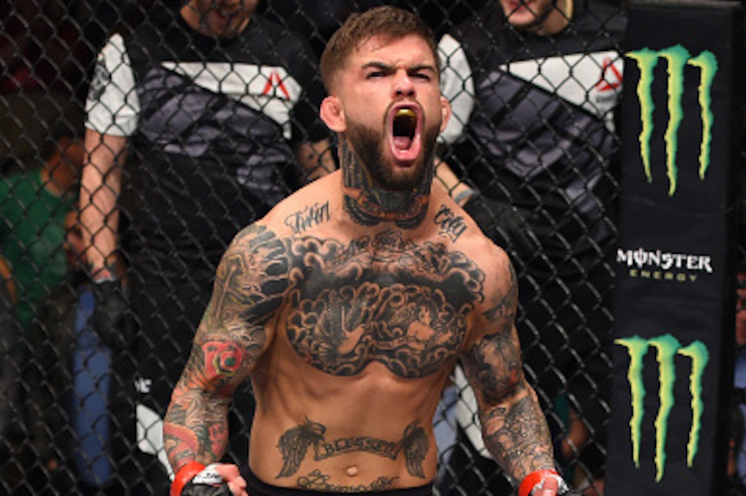 PITTSBURGH, PA - FEBRUARY 21:  Cody Garbrandt celebrates his knockout victory over Augusto Mendes in their bantamweight bout during the UFC Fight Night event at Consol Energy Center on February 21, 2016 in Pittsburgh, Pennsylvania. (Photo by Jeff Bottari/