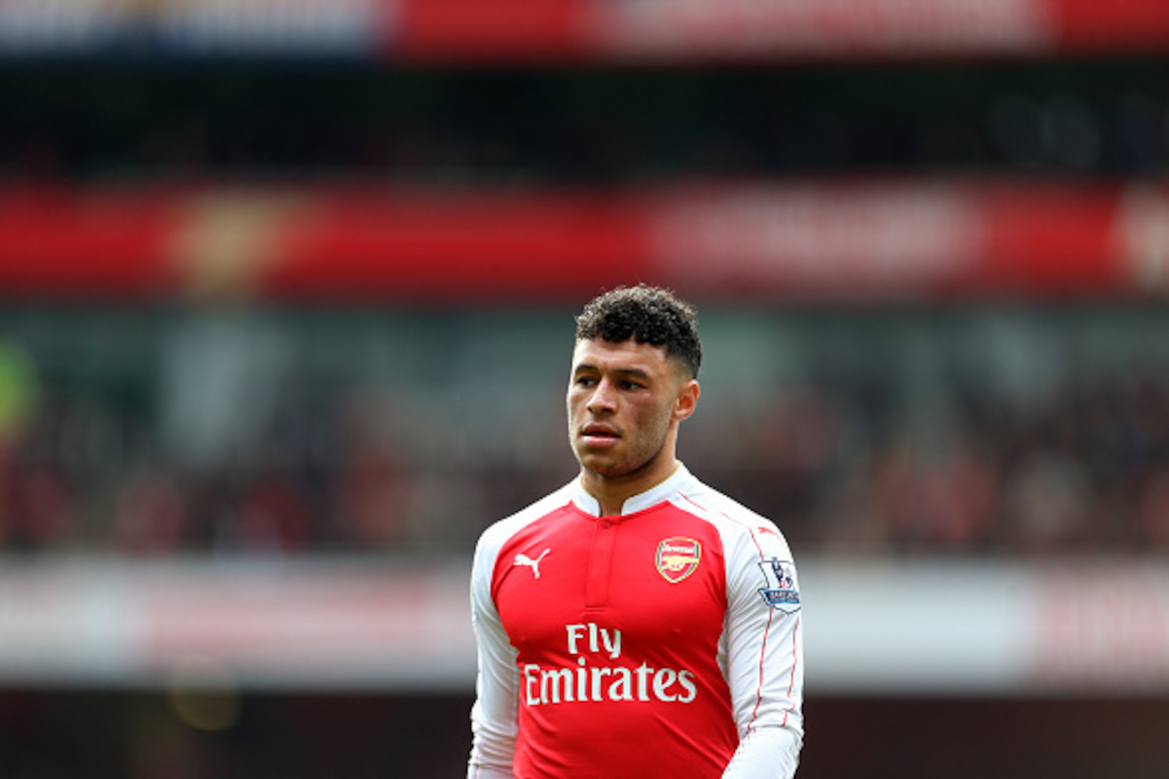 LONDON, ENGLAND - FEBRUARY 14 : Alex Oxlade-Chamberlain of Arsenal during the Barclays Premier League match between Arsenal and Leicester City at the Emirates Stadium on February 14, 2016 in London, England. (Photo by Catherine Ivill - AMA/Getty Images) LONDON, ENGLAND - FEBRUARY 14 : Alex Oxlade-Chamberlain of Arsenal during the Barclays Premier League match between Arsenal and Leicester City at the Emirates Stadium on February 14, 2016 in London, England. (Photo by Catherine Ivill - AMA/Getty Images)