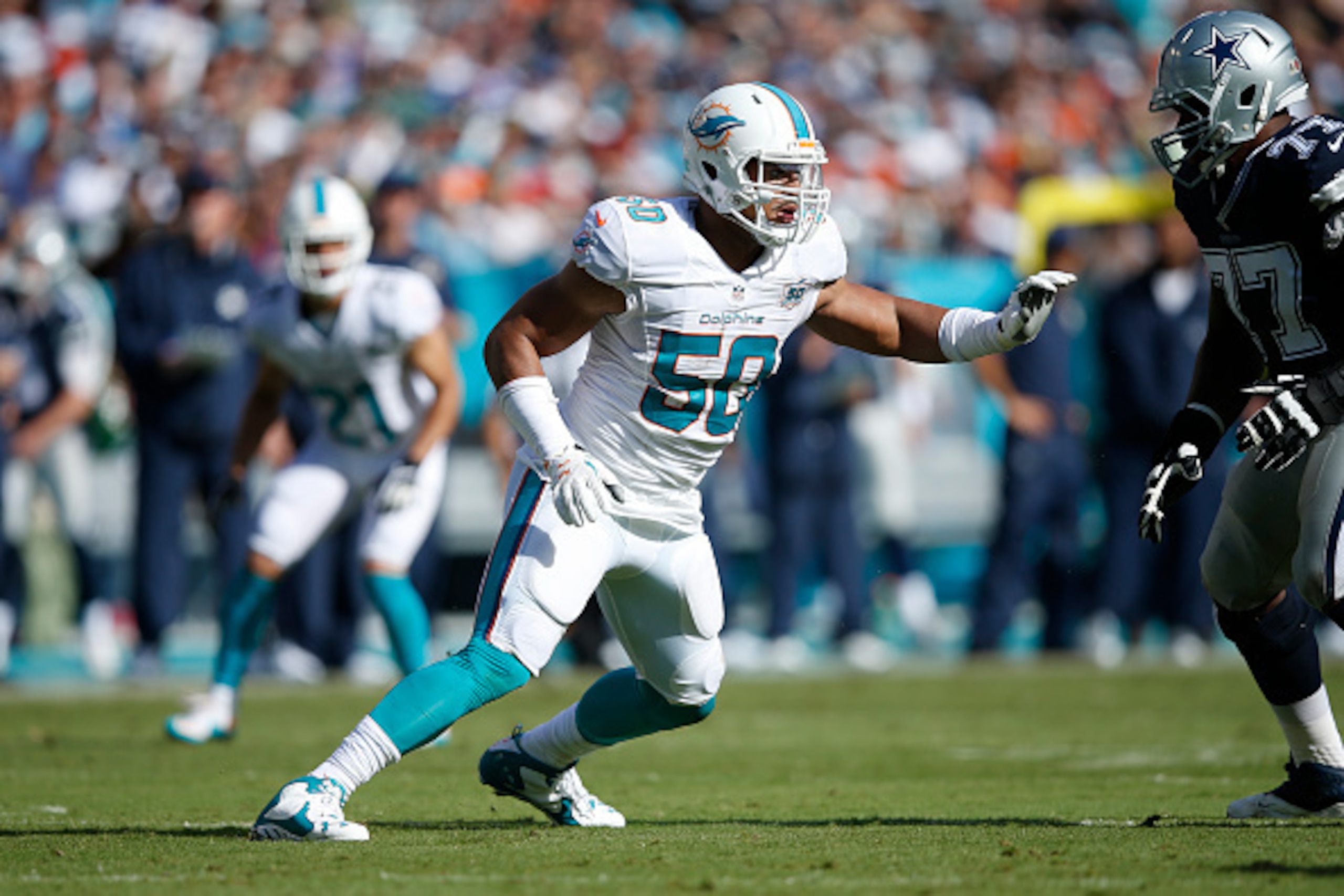 MIAMI GARDENS, FL - NOVEMBER 22: Olivier Vernon #50 of the Miami Dolphins in action against the Dallas Cowboys during the game at Sun Life Stadium on November 22, 2015 in Miami Gardens, Florida. Dallas defeated Miami 24-14. (Photo by Joe Robbins/Getty Ima