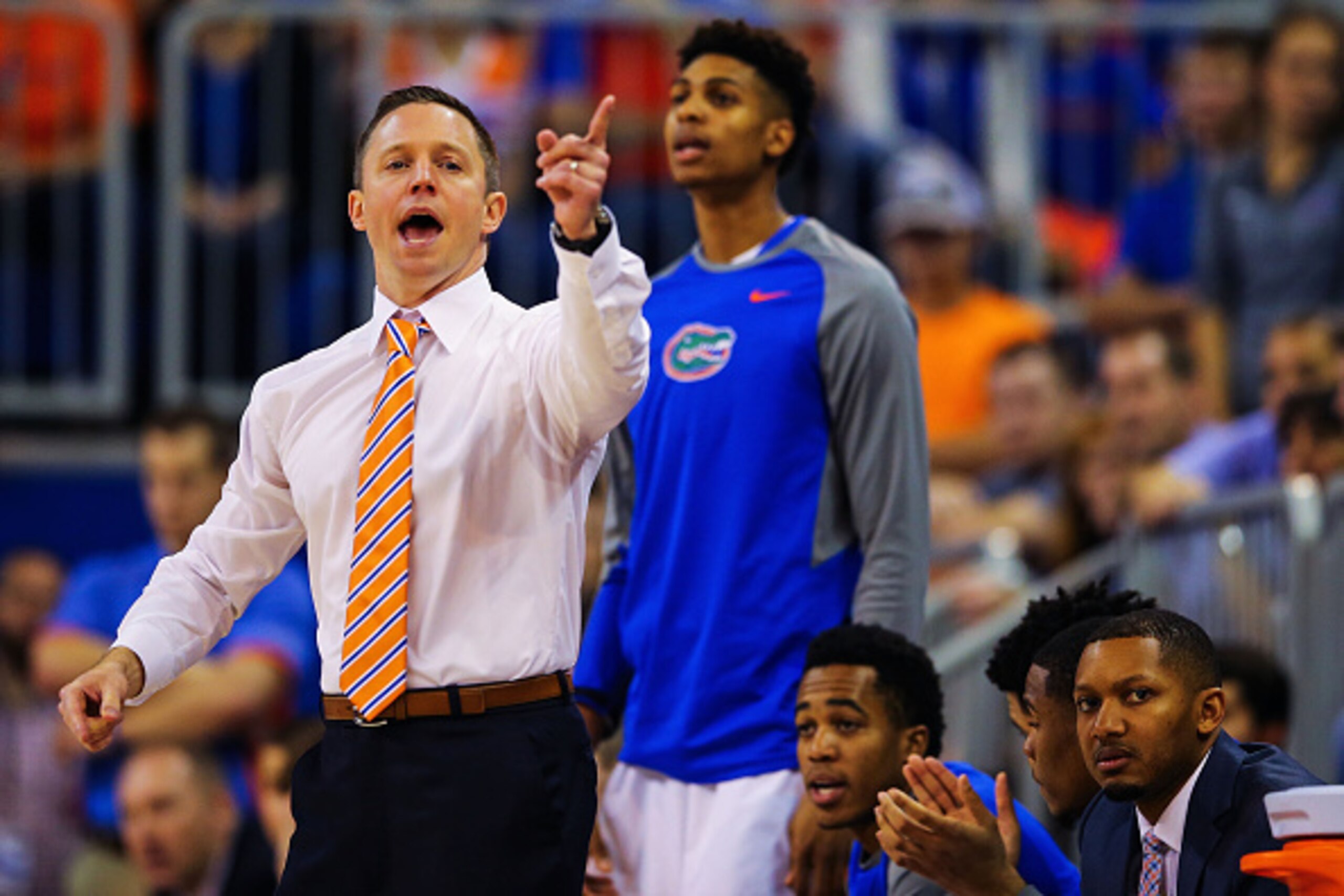 GAINESVILLE, FL - JANUARY 09: Head coach Mike White of the Florida Gators  during the game against the LSU Tigers at Stephen C. O'Connell Center on January 9, 2016 in Gainesville, Florida.  (Photo by Rob Foldy/Getty Images)