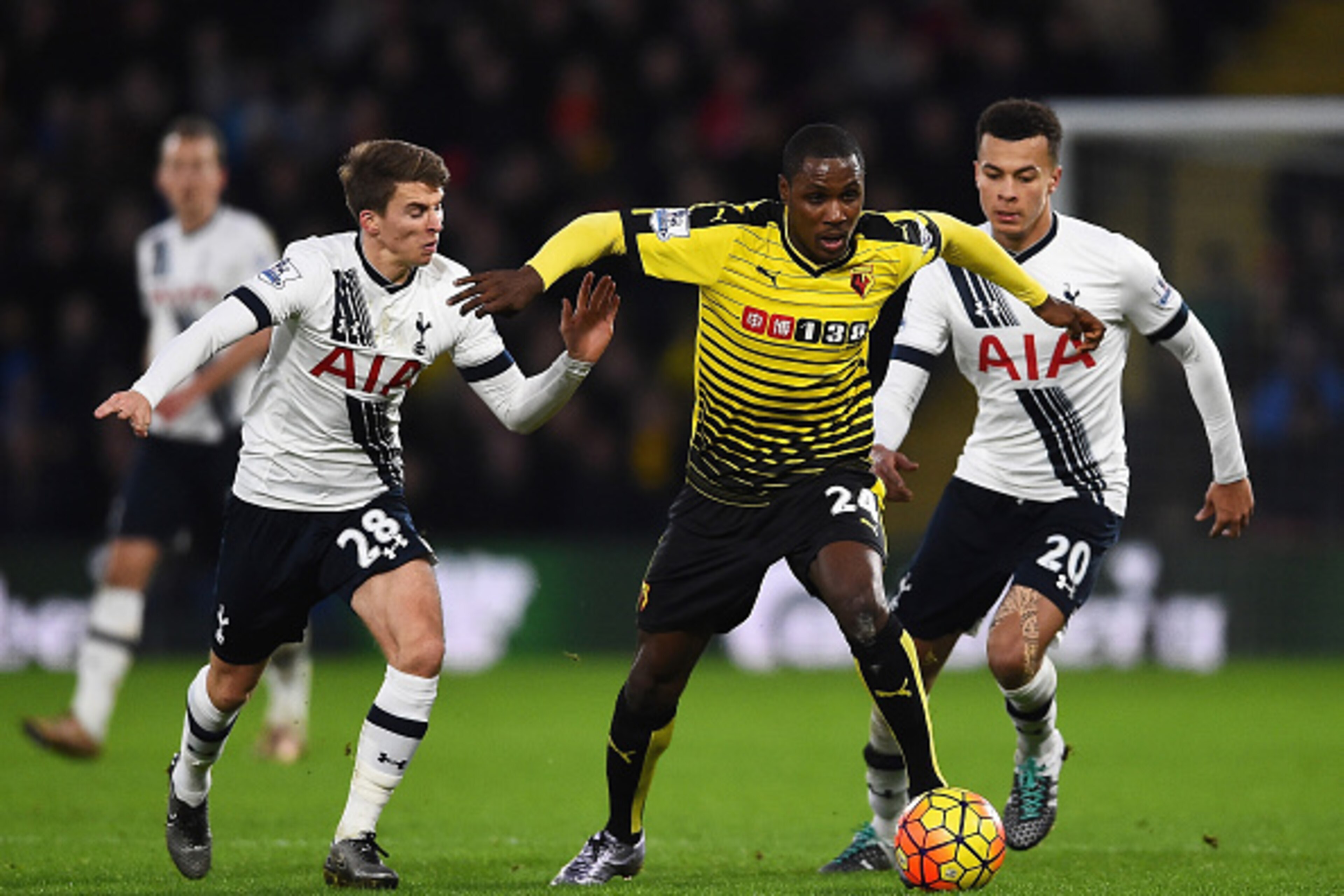 WATFORD, ENGLAND - DECEMBER 28: Odion Ighalo of Watford and Tom Carroll of Tottenham Hcotspurcompete for the ball during the Barclays Premier League match between Watford and Tottenham Hotspur at Vicarage Road on December 28, 2015 in Watford, England. (P WATFORD, ENGLAND - DECEMBER 28: Odion Ighalo of Watford and Tom Carroll of Tottenham Hcotspurcompete for the ball during the Barclays Premier League match between Watford and Tottenham Hotspur at Vicarage Road on December 28, 2015 in Watford, England. (P