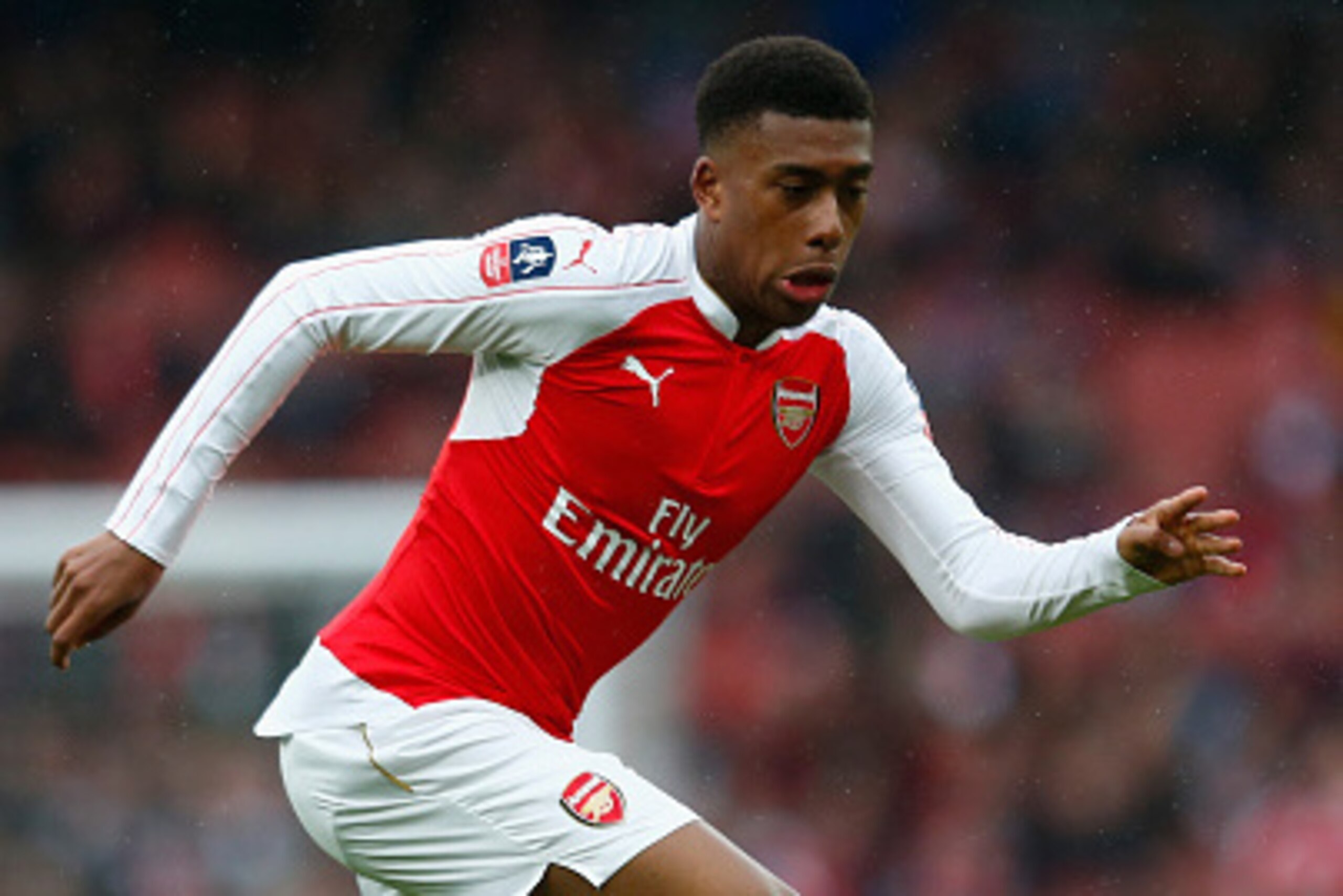LONDON, ENGLAND - FEBRUARY 20:  Alex Iwobi of Arsenal in action during the Emirates FA Cup fifth round match between Arsenal and Hull City at Emirates Stadium on February 20, 2016 in London, England.  (Photo by Julian Finney/Getty Images)