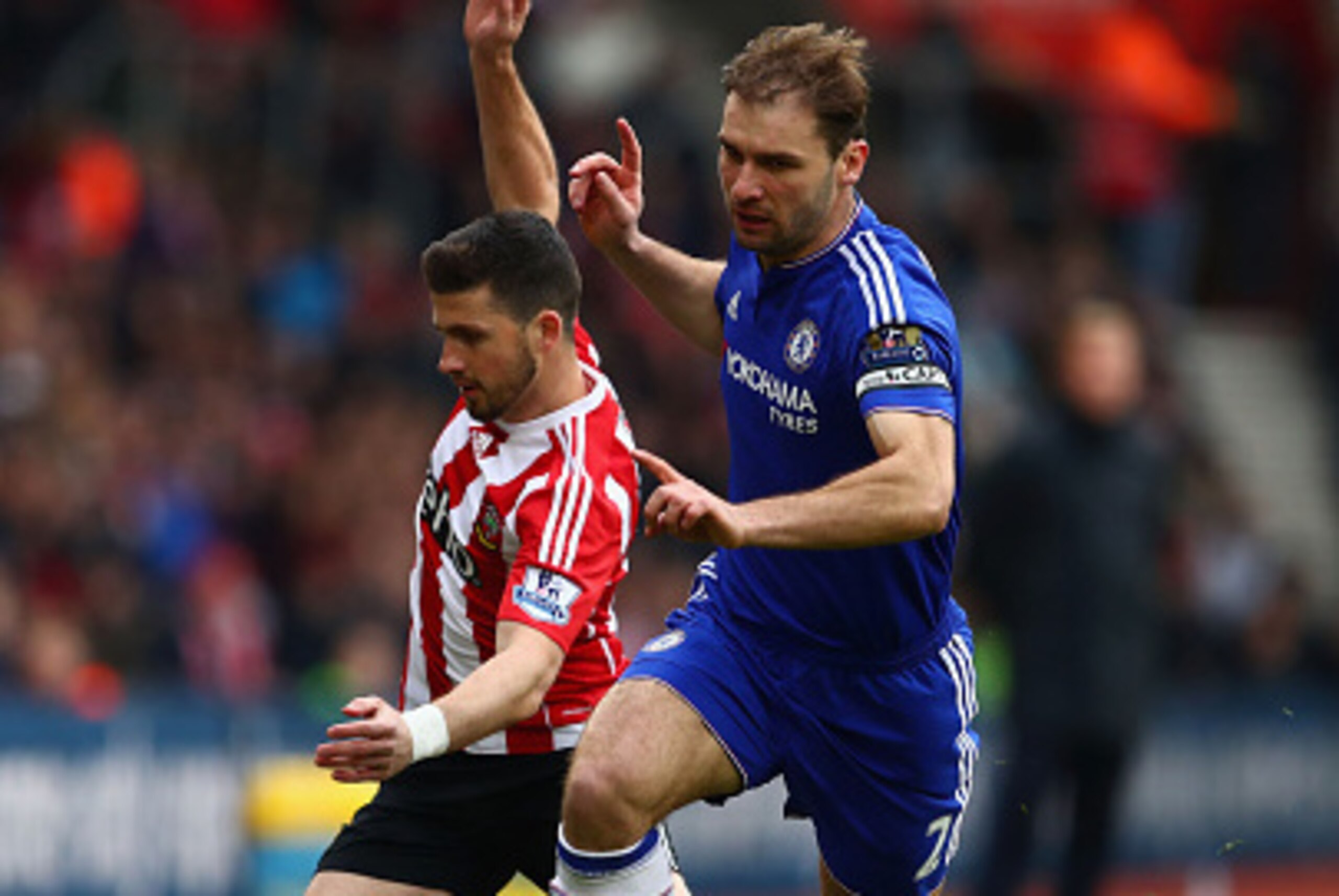 SOUTHAMPTON, ENGLAND - FEBRUARY 27: Shane Long of Southampton and Branislav Ivanovic of Chelsea compete for the ball during the Barclays Premier League match between Southampton and Chelsea at St Mary's Stadium on February 27, 2016 in Southampton, England SOUTHAMPTON, ENGLAND - FEBRUARY 27: Shane Long of Southampton and Branislav Ivanovic of Chelsea compete for the ball during the Barclays Premier League match between Southampton and Chelsea at St Mary's Stadium on February 27, 2016 in Southampton, England