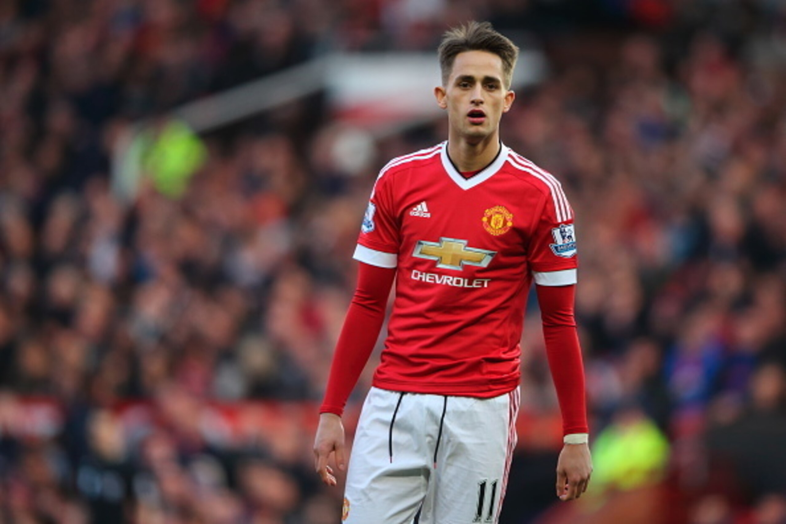 MANCHESTER, ENGLAND - FEBRUARY 28:  Adnan Januzaj of Manchester United during the Barclays Premier League match between Manchester United and Arsenal at Old Trafford on February 28 in Manchester, England.  (Photo by Matthew Ashton - AMA/Getty Images)
