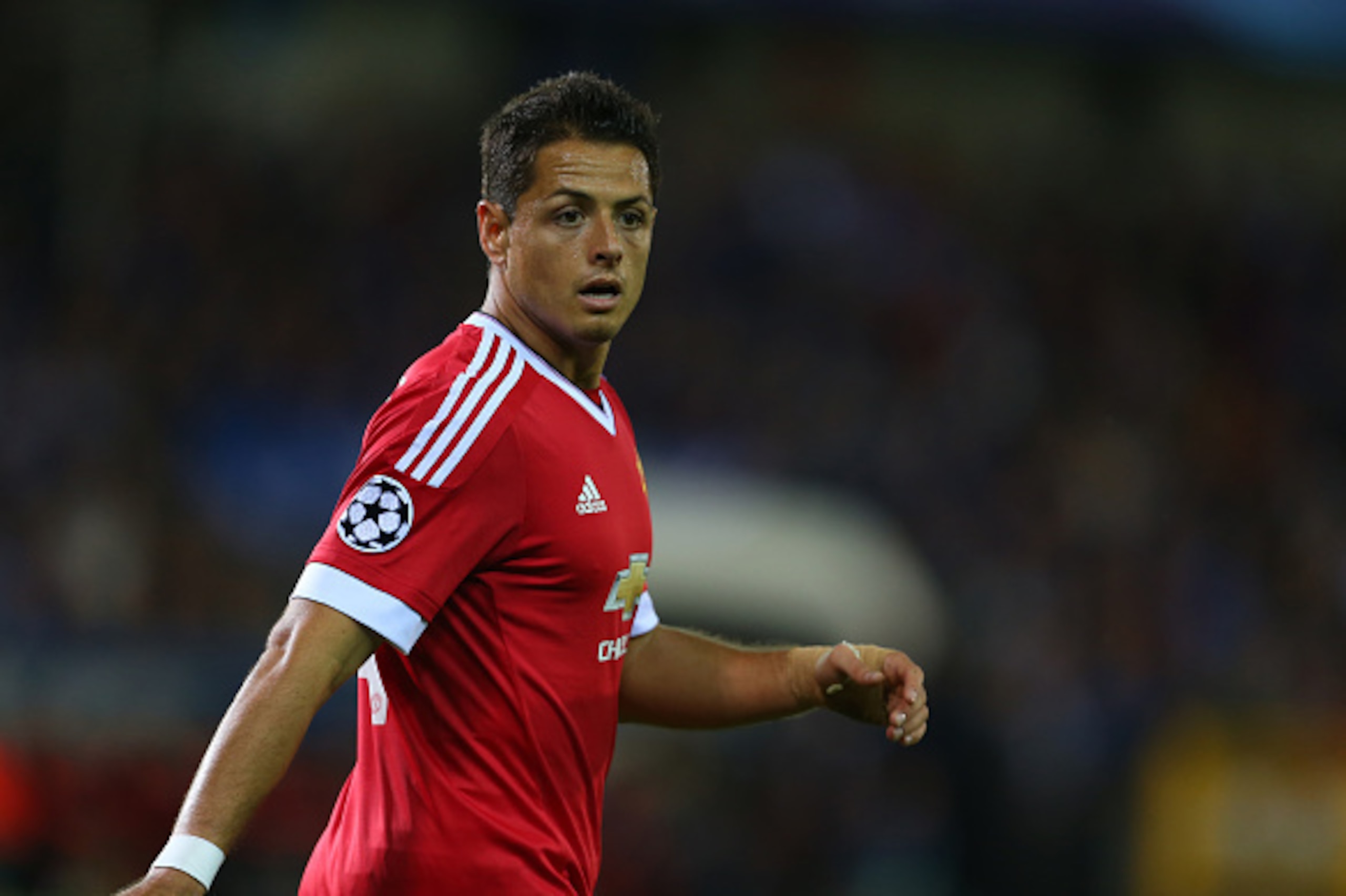 BRUGGE, BELGIUM - AUGUST 26: Javier Hernandez of Manchester United during the UEFA Champions League Qualifying Round Play Off Second Leg between Club Brugge and Manchester United on August 26, 2015 in Brugge, Belgium. (Photo by Catherine Ivill - AMA/Getty