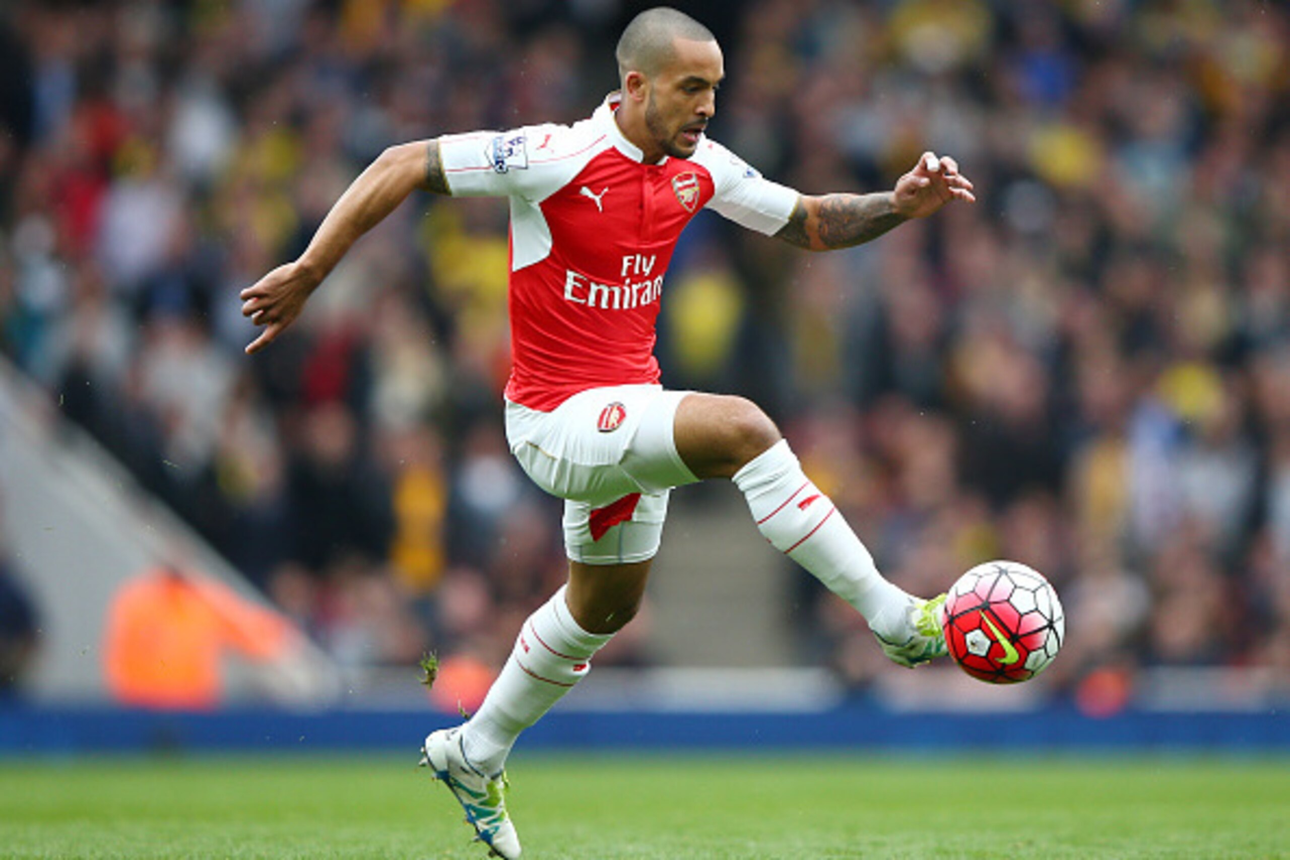 LONDON, ENGLAND - APRIL 02: Theo Walcott of Arsenal in action during the Barclays Premier League match between Arsenal and Watford at Emirates Stadium on April 2, 2016 in London, England.  (Photo by Ian Walton/Getty Images)