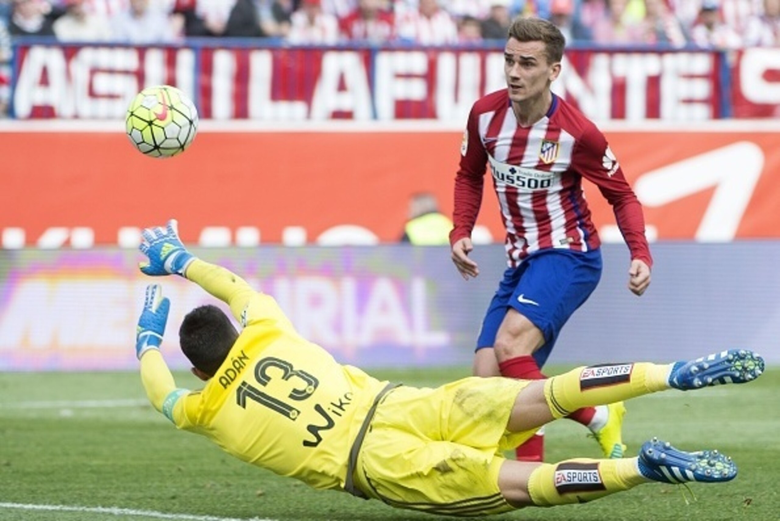 Atletico Madrid's French forward Antoine Griezmann scores during the Spanish league football match Club Atletico de Madrid vs Real Betis Balompi at the Vicente Calderon stadium in Madrid on April 2, 2016. / AFP / CURTO DE LA TORRE (Photo credit sho Atletico Madrid's French forward Antoine Griezmann scores during the Spanish league football match Club Atletico de Madrid vs Real Betis Balompi at the Vicente Calderon stadium in Madrid on April 2, 2016. / AFP / CURTO DE LA TORRE (Photo credit sho