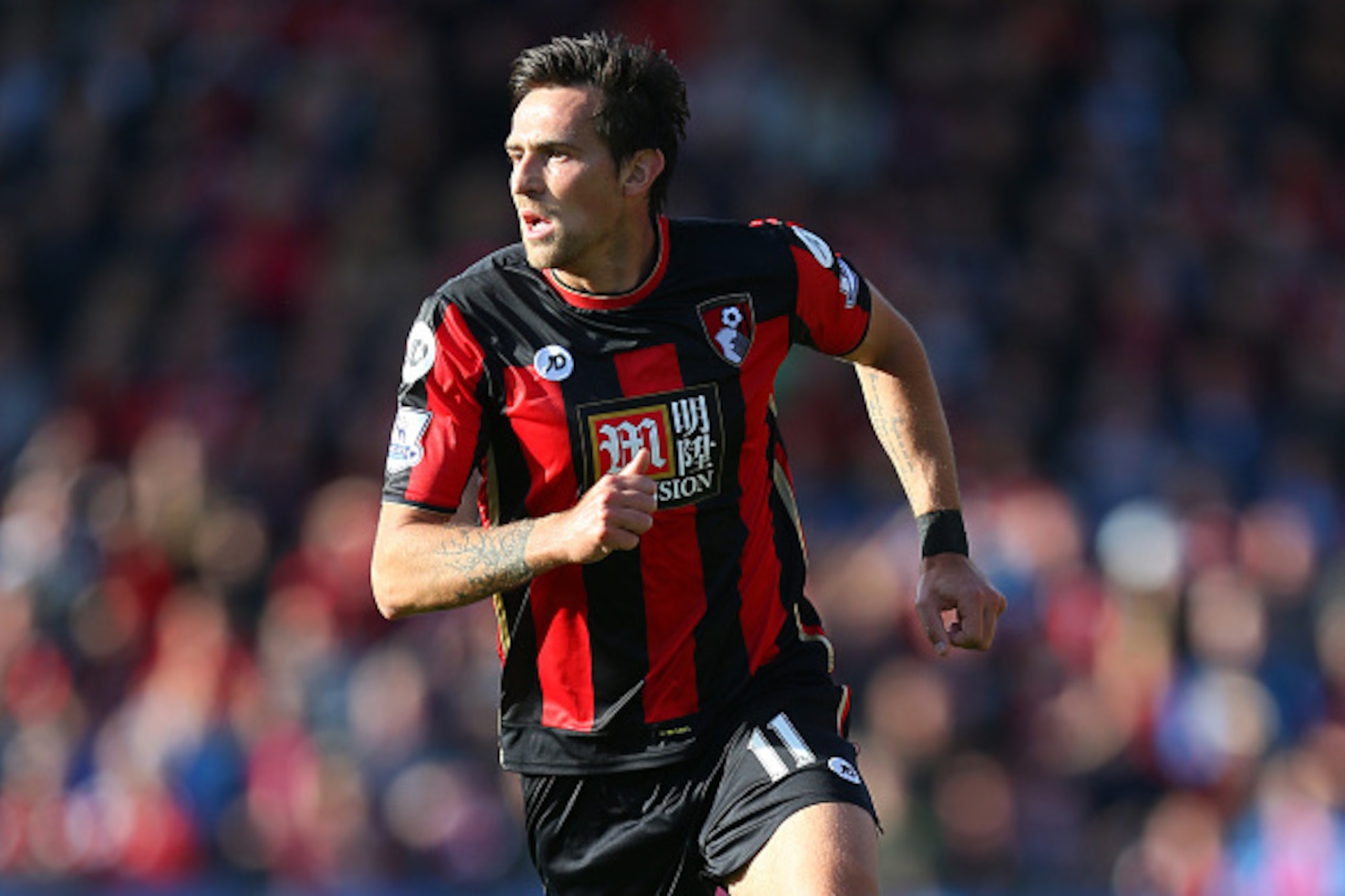 BOURNEMOUTH, ENGLAND - OCTOBER 25:  Charlie Daniels of Bournemouth during the Barclays Premier League match between A.F.C Bournemouth and Tottenham Hotspur at Vitality Stadium on October 25, 2015 in Bournemouth, England.  (Photo by Catherine Ivill - AMA/G