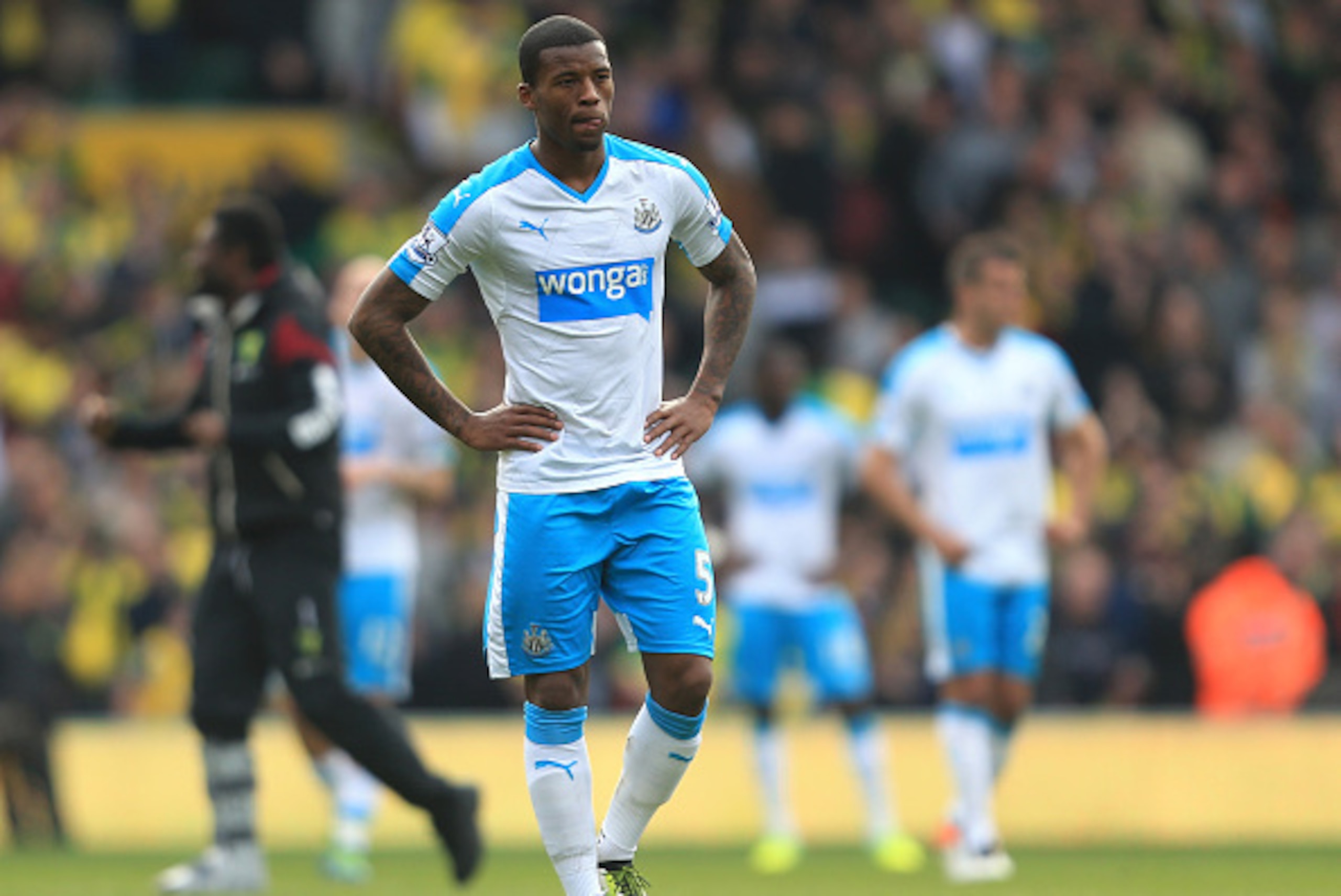 NORWICH, ENGLAND - APRIL 02:  Georginio Wijnaldum of Newcastle United shows dejection after his team's 2-3 defeat in the Barclays Premier League match between Norwich City and Newcastle United at Carrow Road on April 2, 2016 in Norwich, England.  (Photo b