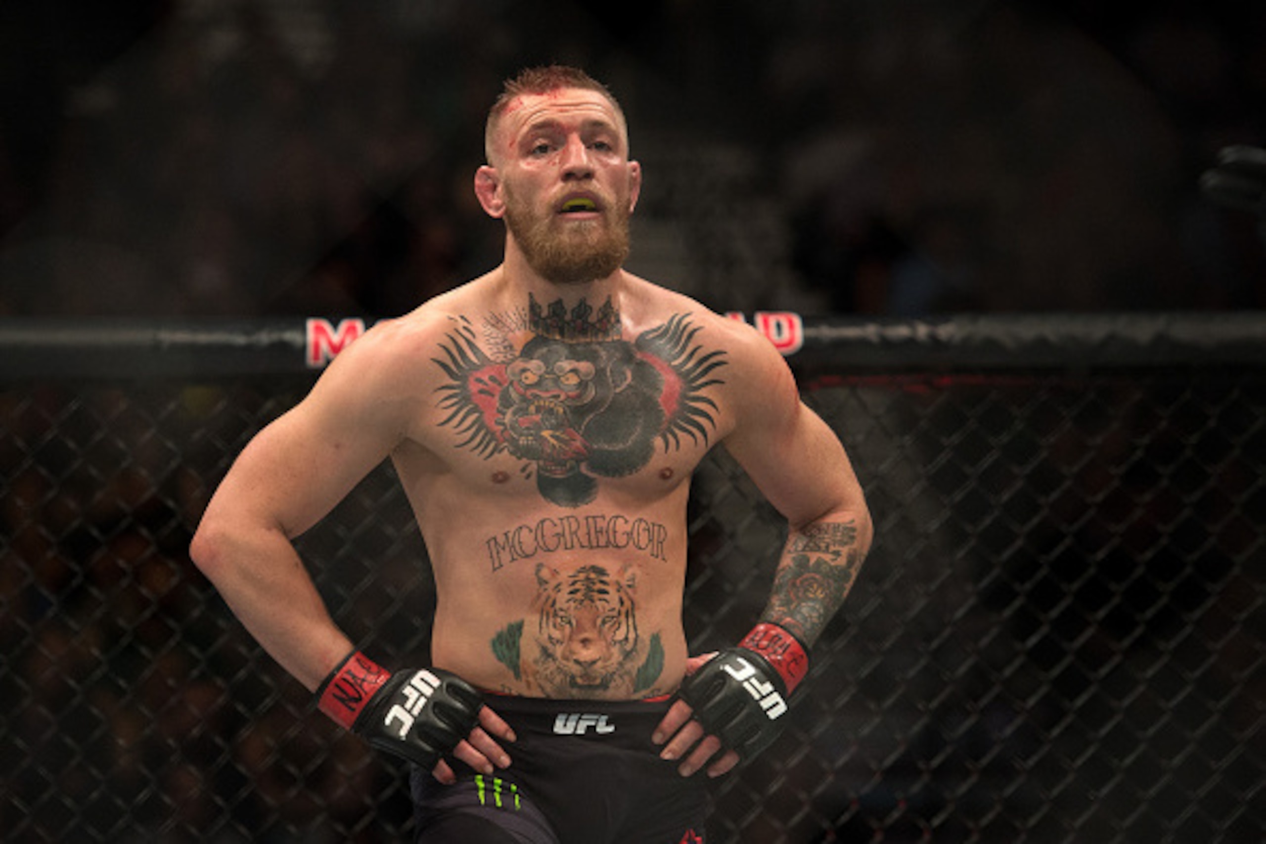 LAS VEGAS, NV - MARCH 5:   Conor McGregor prepares for the second round to begin while facing Nate Diaz in their welterweight bout during the UFC 196 in the MGM Grand Garden Arena on March 5, 2016 in Las Vegas, Nevada. (Photo by Brandon Magnus/Zuffa LLC/Z