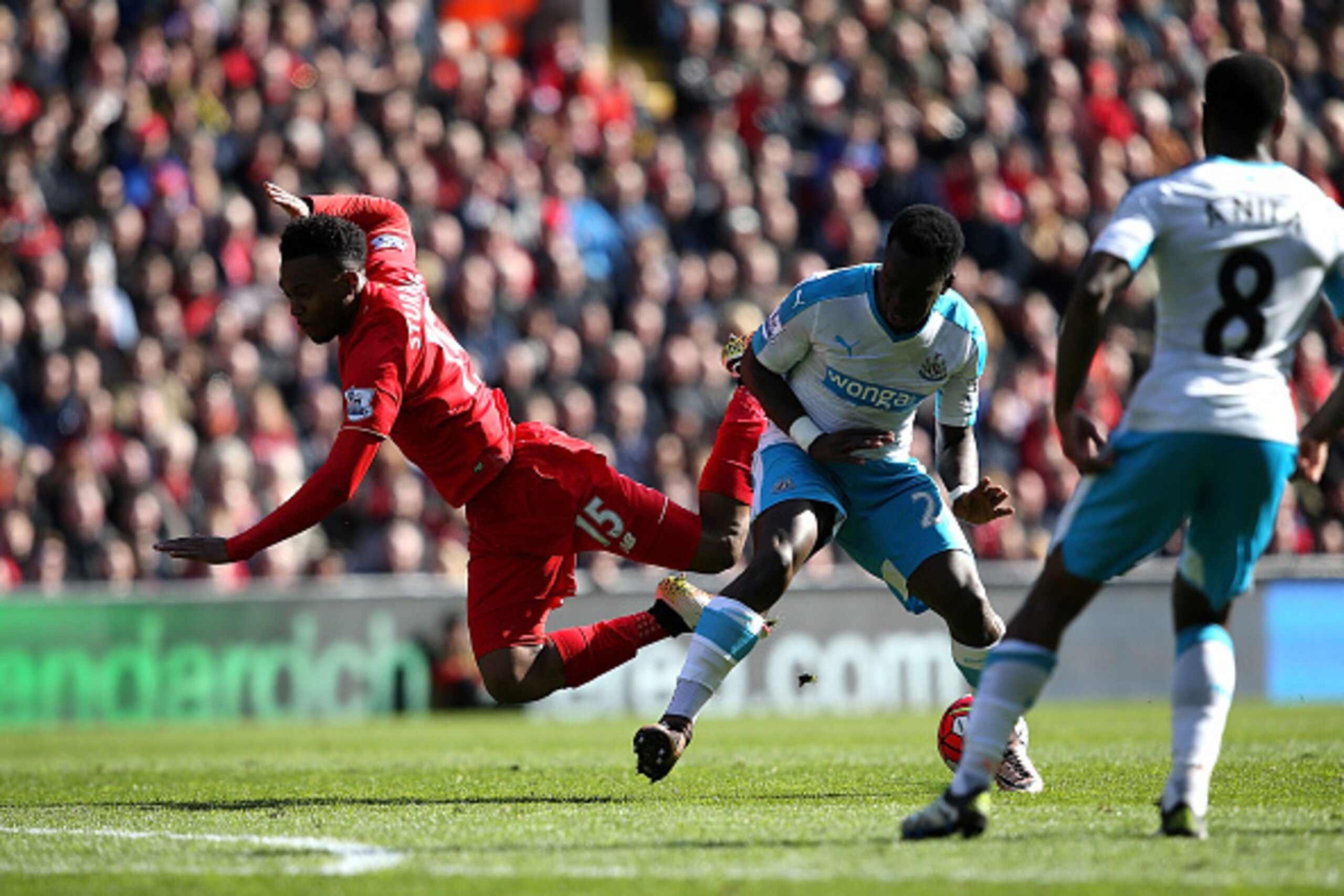 LIVERPOOL, ENGLAND - APRIL 23:  Daniel Sturridge of Liverpool is challenged by Cheik Tiote of Newcastle United during the Barclays Premier League match between Liverpool and Newcastle United at Anfield on April 23, 2016 in Liverpool, United Kingdom.  (Pho