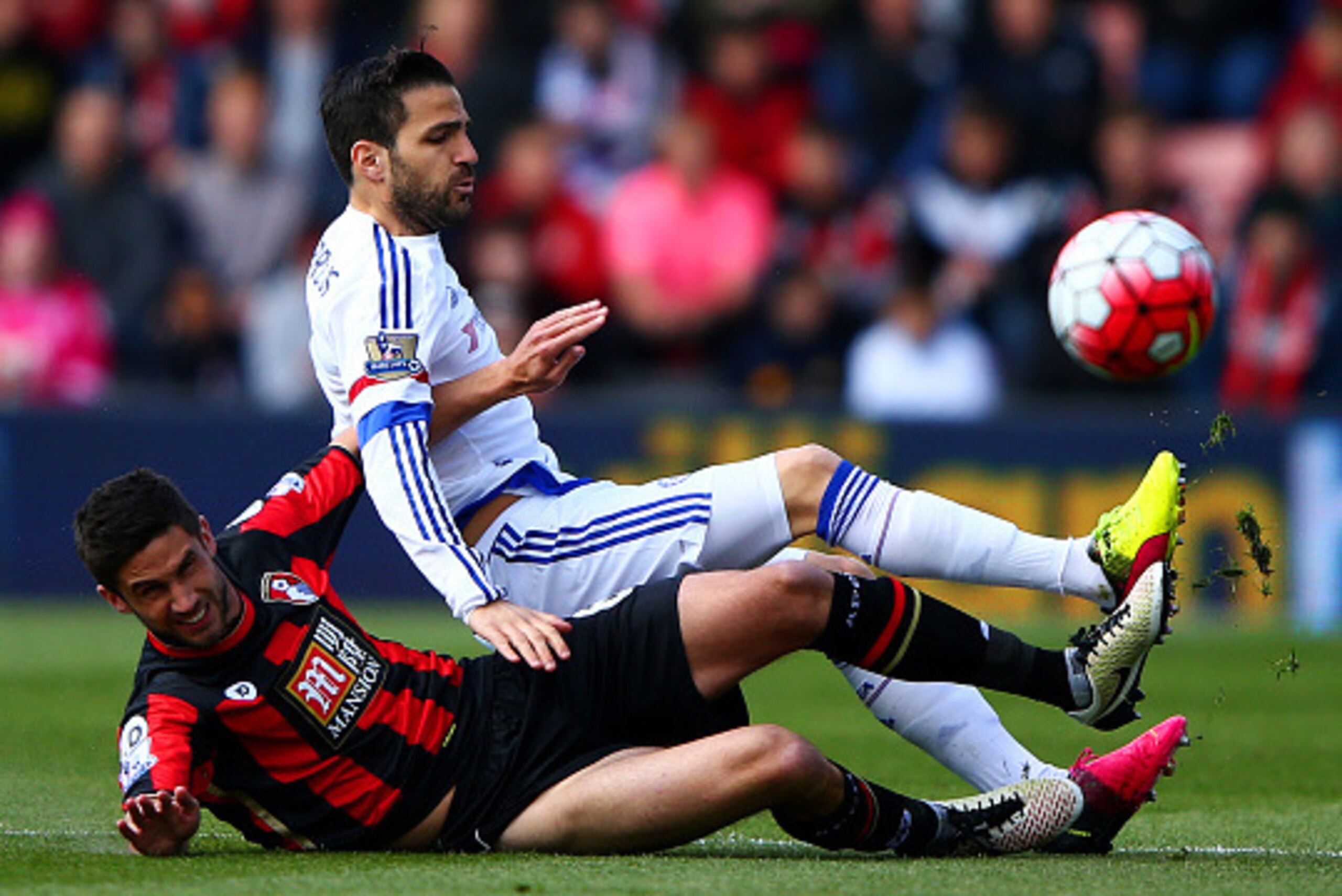 BOURNEMOUTH, ENGLAND - APRIL 23:  Andrew Surman of Bournemouth and Cesc Fabregas of Chelsea are involved in a tackle during the Barclays Premier League match between A.F.C. Bournemouth and Chelsea at the Vitality Stadium on April 23, 2016 in Bournemouth, 