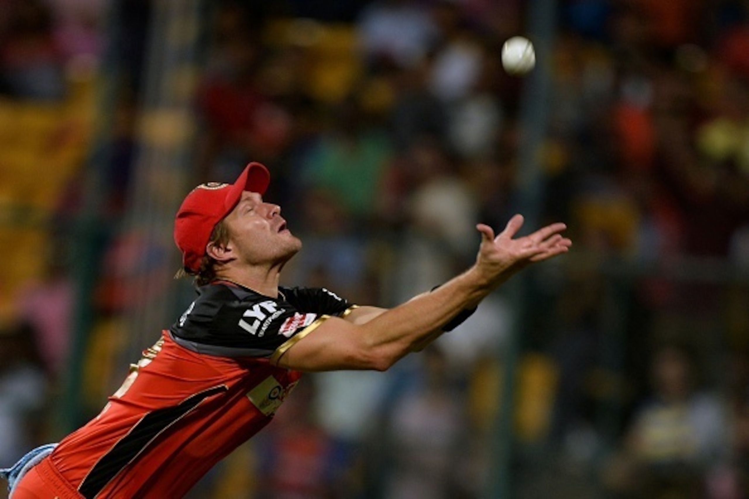Royal Challengers Bangalore fielder Shane Watson attempts to take a catch to dismiss Delhi Daredevils batsman Shreyas Iyer (unseen), during the 2016 Indian Premier League (IPL) Twenty20 cricket match between Royal Challengers Bangalore and Delhi Dardevils