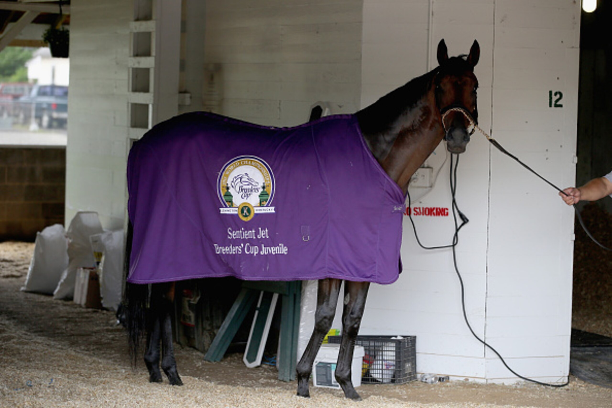LOUISVILLE, KY - MAY 01: Nyquist stops to look at the crowd gathered while he walks in the barn during morning training for the 2016 Kentucky Derby at Churchill Downs on May 01, 2016 in Louisville, Kentucky. (Photo by Andy Lyons/Getty Images) LOUISVILLE, KY - MAY 01: Nyquist stops to look at the crowd gathered while he walks in the barn during morning training for the 2016 Kentucky Derby at Churchill Downs on May 01, 2016 in Louisville, Kentucky. (Photo by Andy Lyons/Getty Images)
