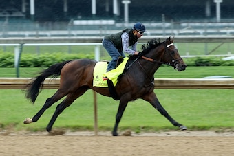 LOUISVILLE, KY - APRIL 30:  Exaggerator runs on the track during the Morning training for the 2016 Kentucky Derby at Churchill Downs on April 30, 2016 in Louisville, Kentucky.  (Photo by Andy Lyons/Getty Images)