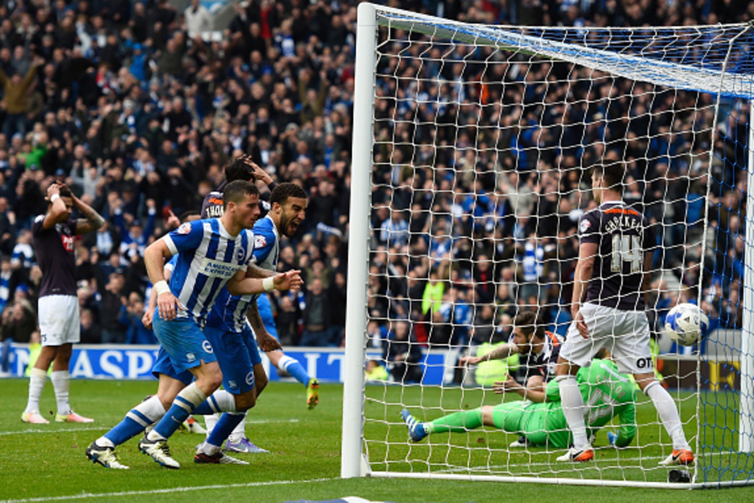 BRIGHTON, ENGLAND - MAY 02:  Brighton players celebrate ater teammtes James Wilson (not shown) scores a late goal to level the scores at 1-1 during the Sky Bet Championship match between Brighton and Hove Albion and Derby County at the Amex Stadium on May
