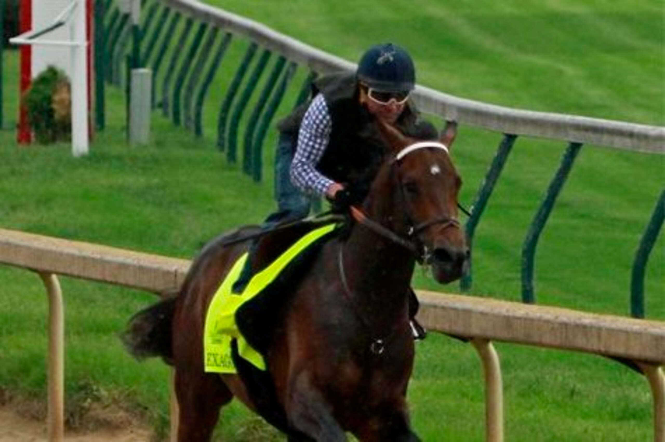 Exaggerator has huge momentum going into the Kentucky Derby.