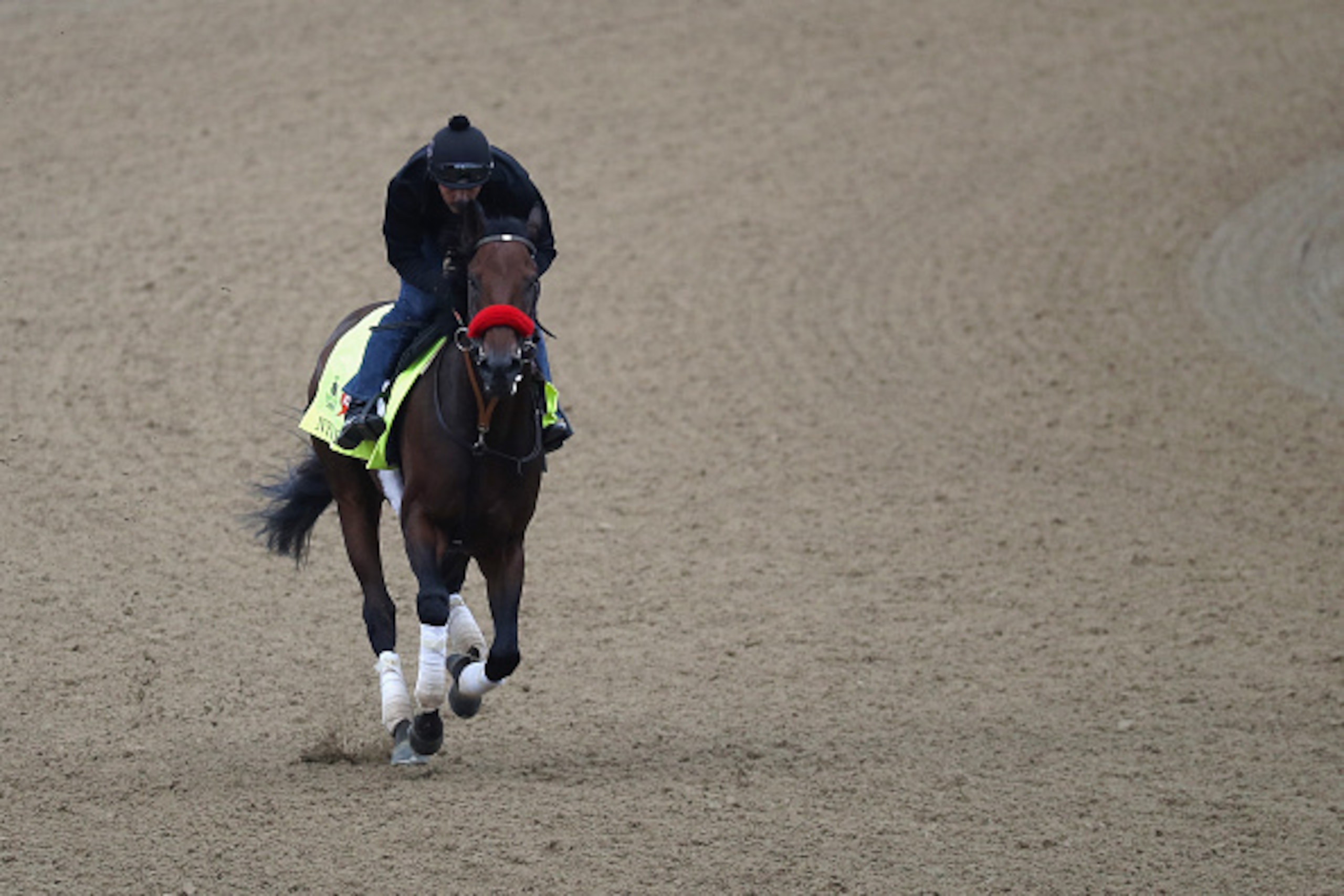LOUISVILLE, KY - MAY 03:  Exercise rider Jonny Garcia takes Nyquist over the track during training for the Kentucky Derby at Churchill Downs on May 03, 2016 in Louisville, Kentucky.  (Photo by Rob Carr/Getty Images)