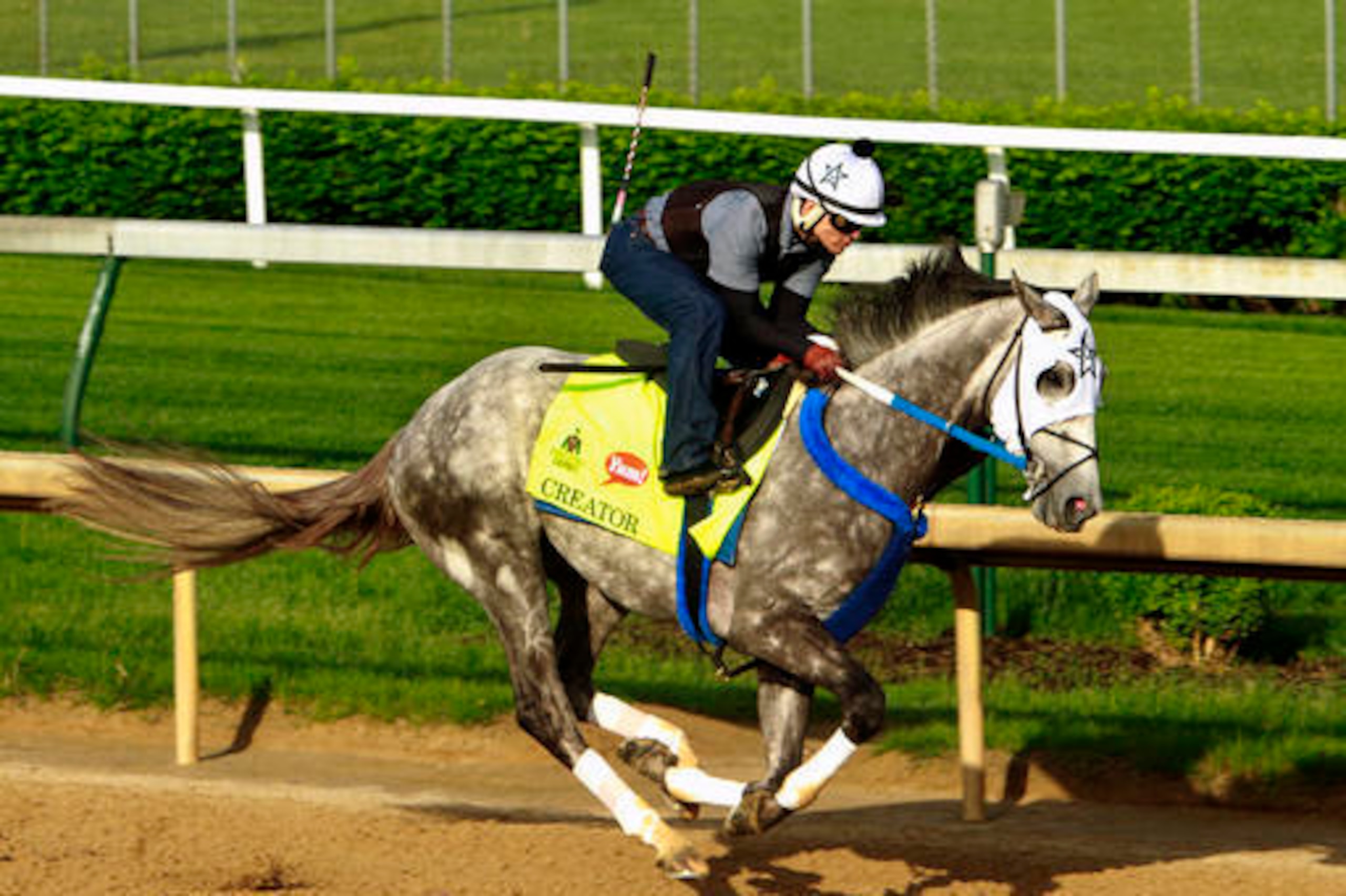 Creator looks like a strong underdog Saturday. Creator looks like a strong underdog Saturday.